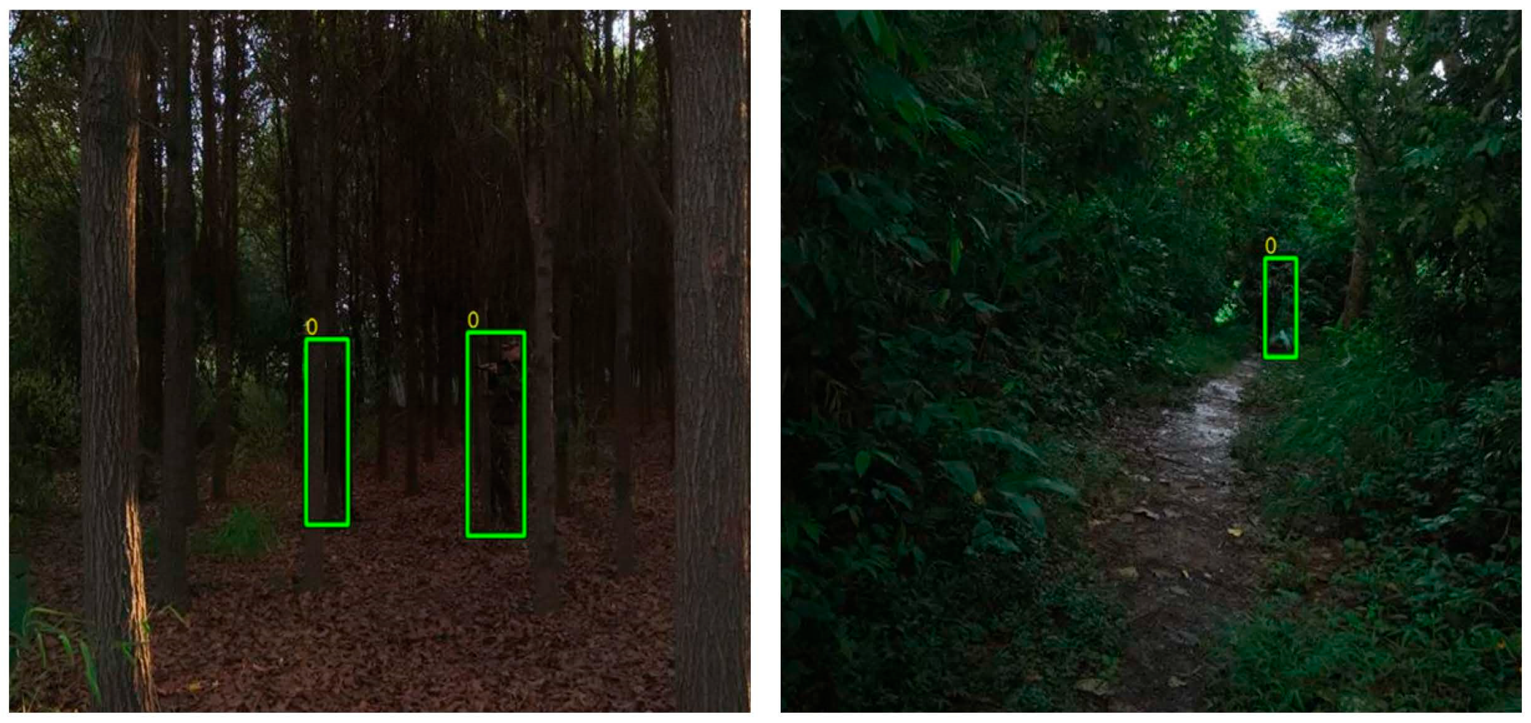 Sensors 25 05631 g001