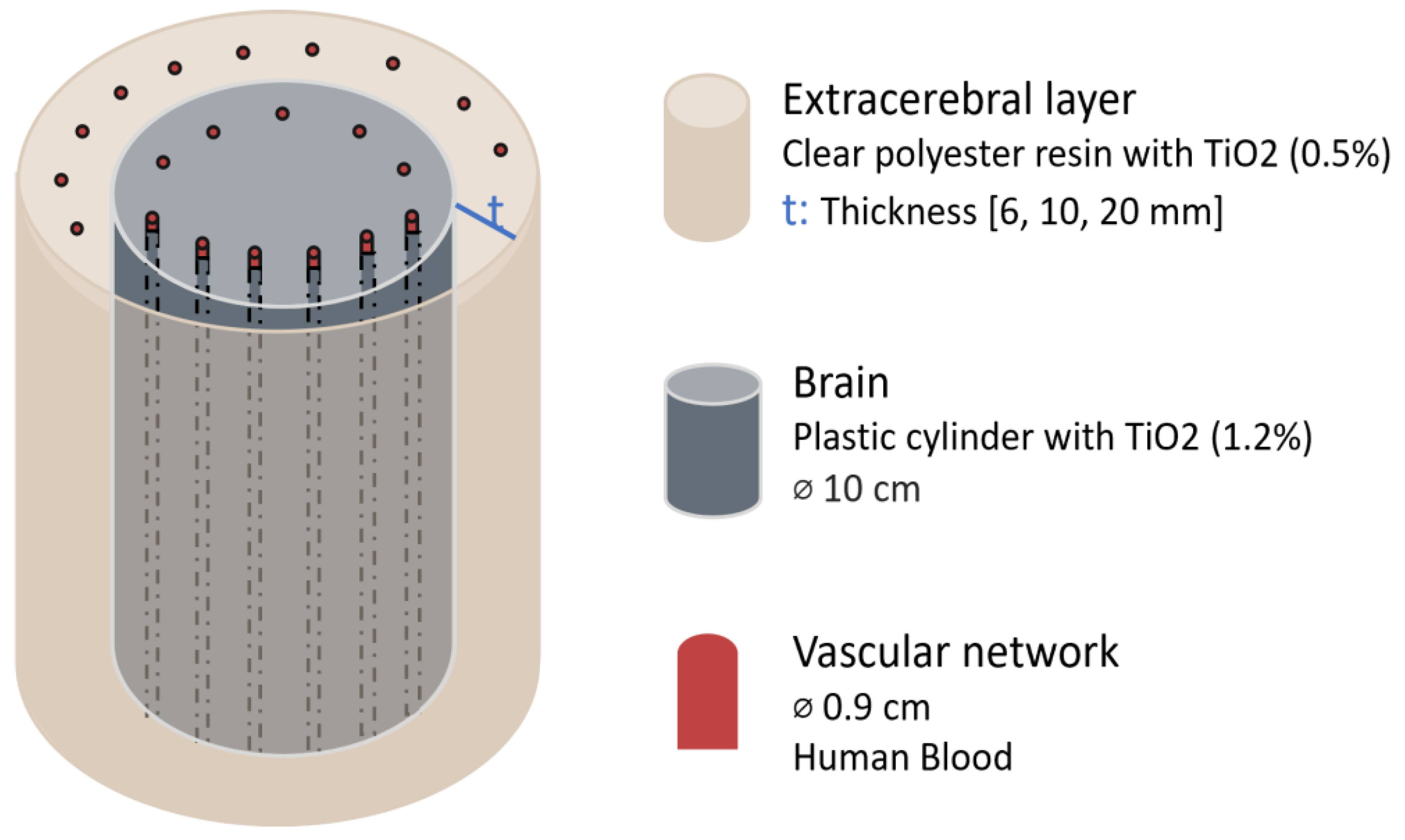 Sensors 25 05654 g003