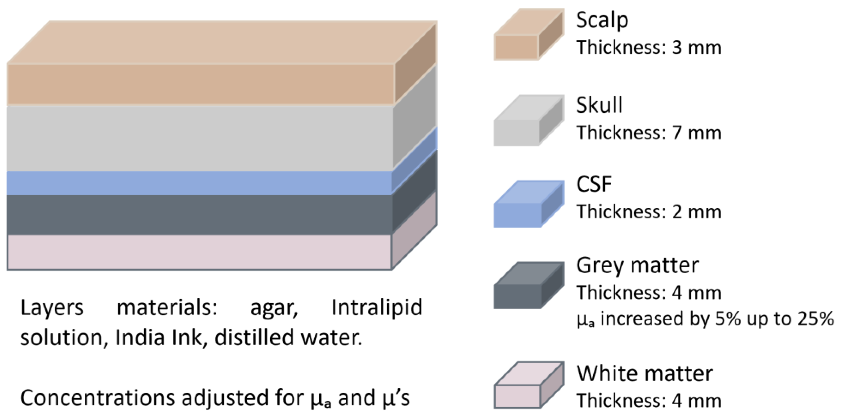 Sensors 25 05654 g004