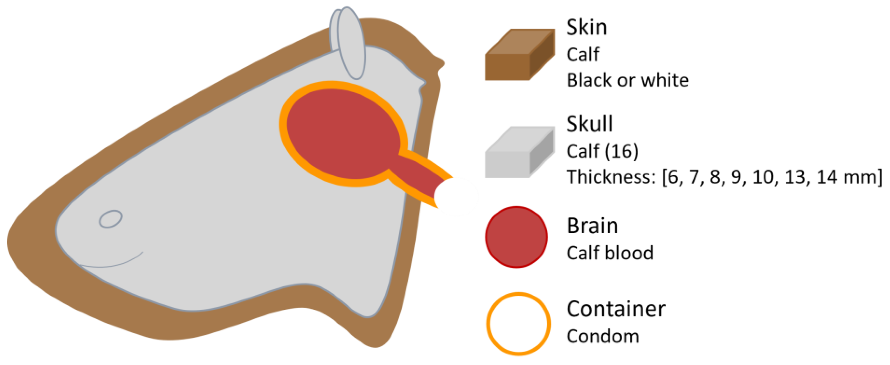 Sensors 25 05654 g009