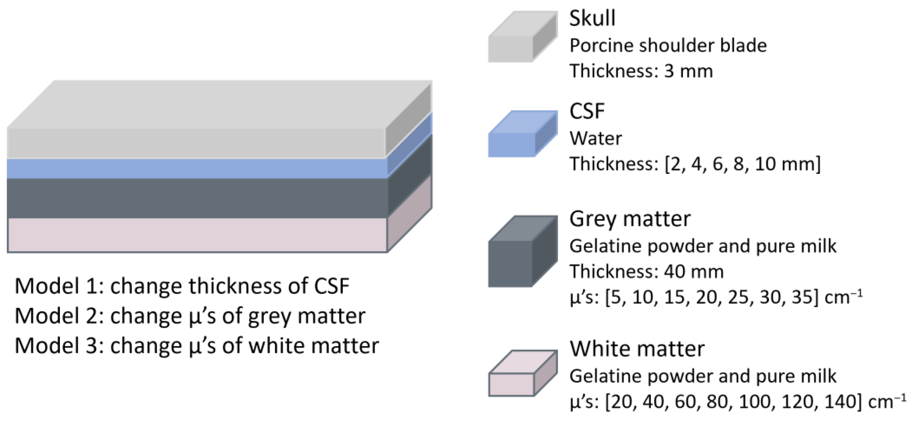 Sensors 25 05654 g012