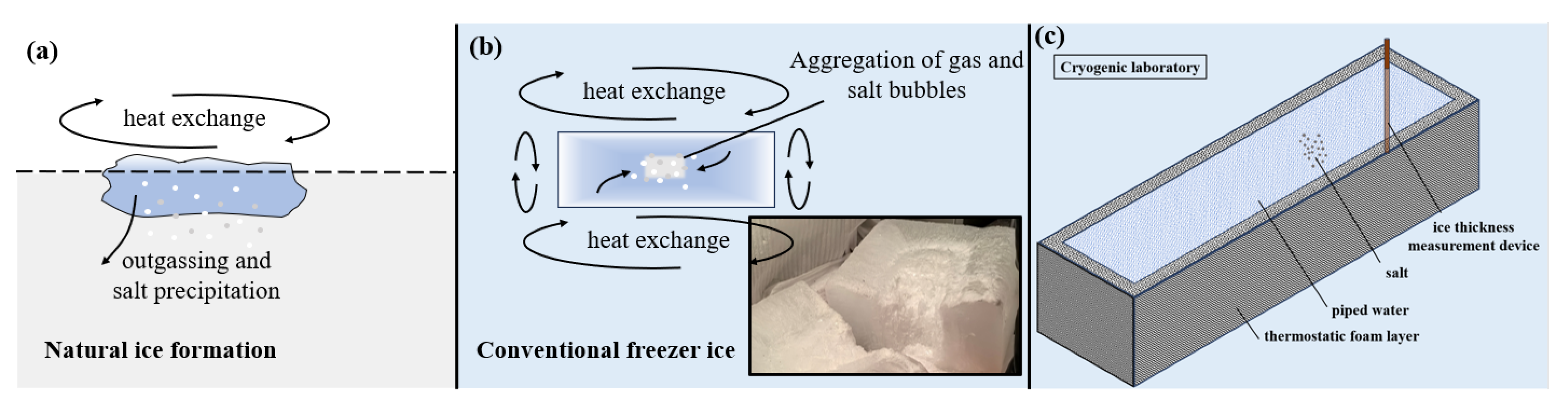 Sensors 25 05663 g001