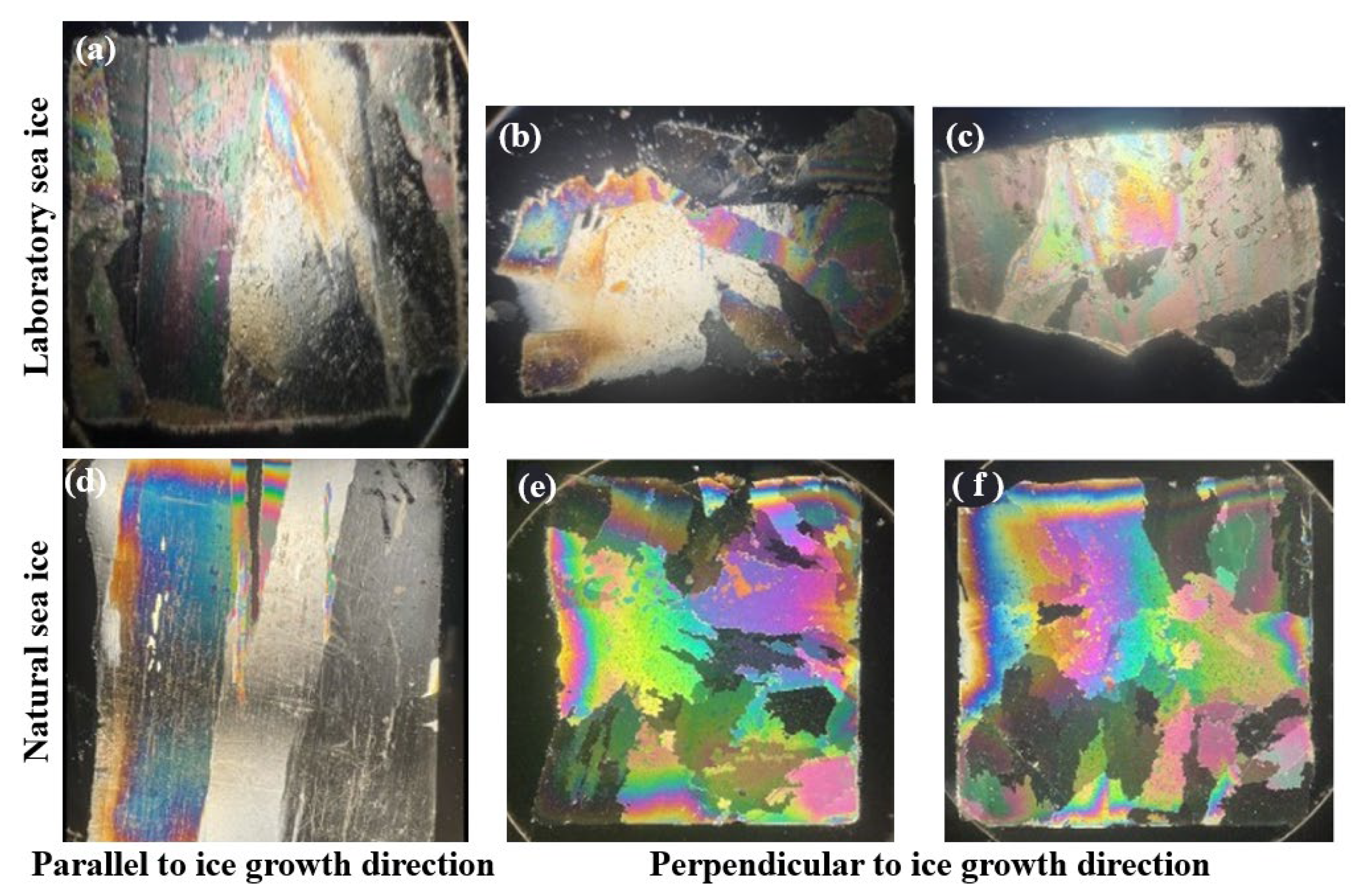 Sensors 25 05663 g010