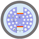 Sensors 25 05705 i005