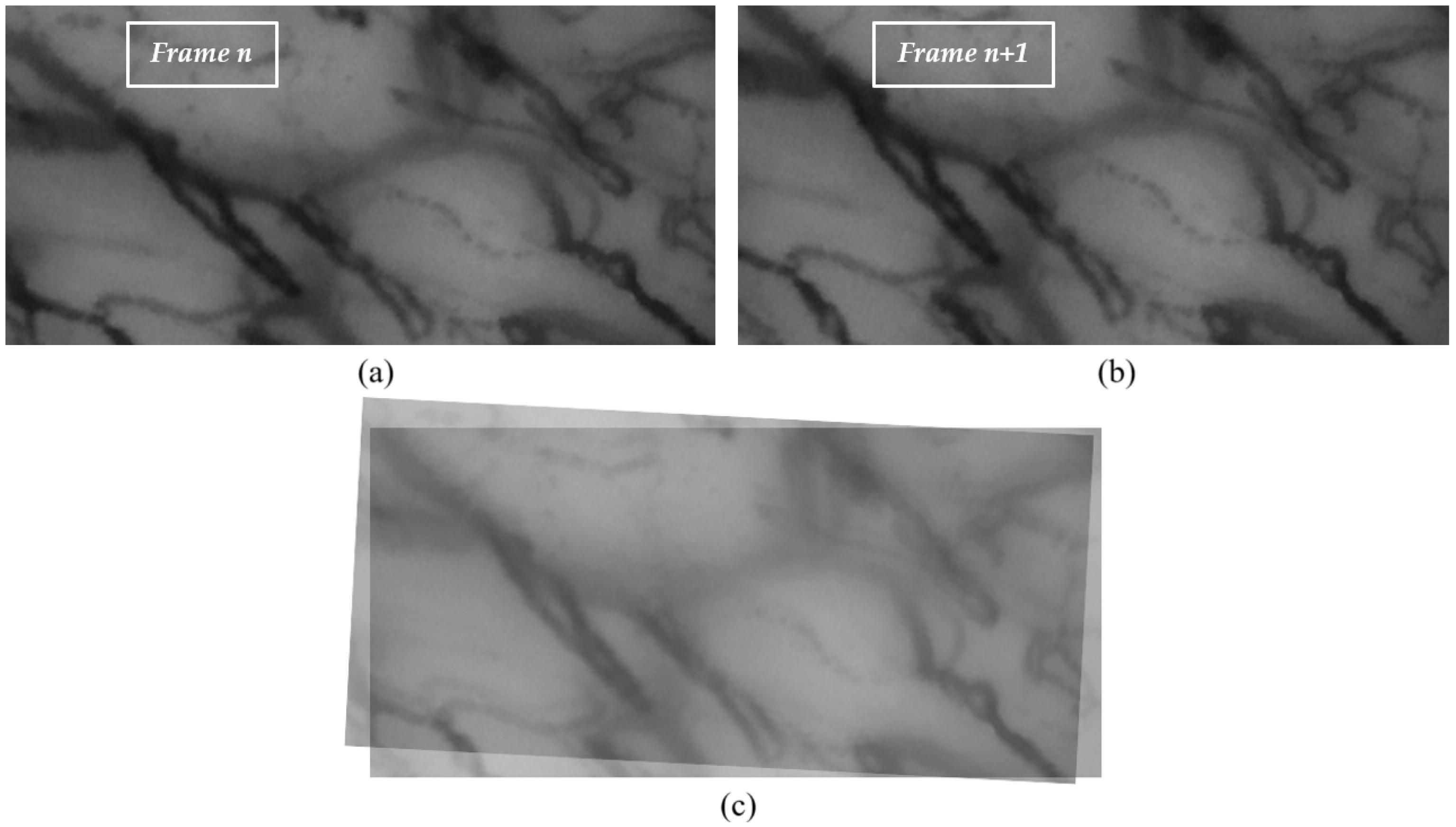 Sensors 25 05738 g001