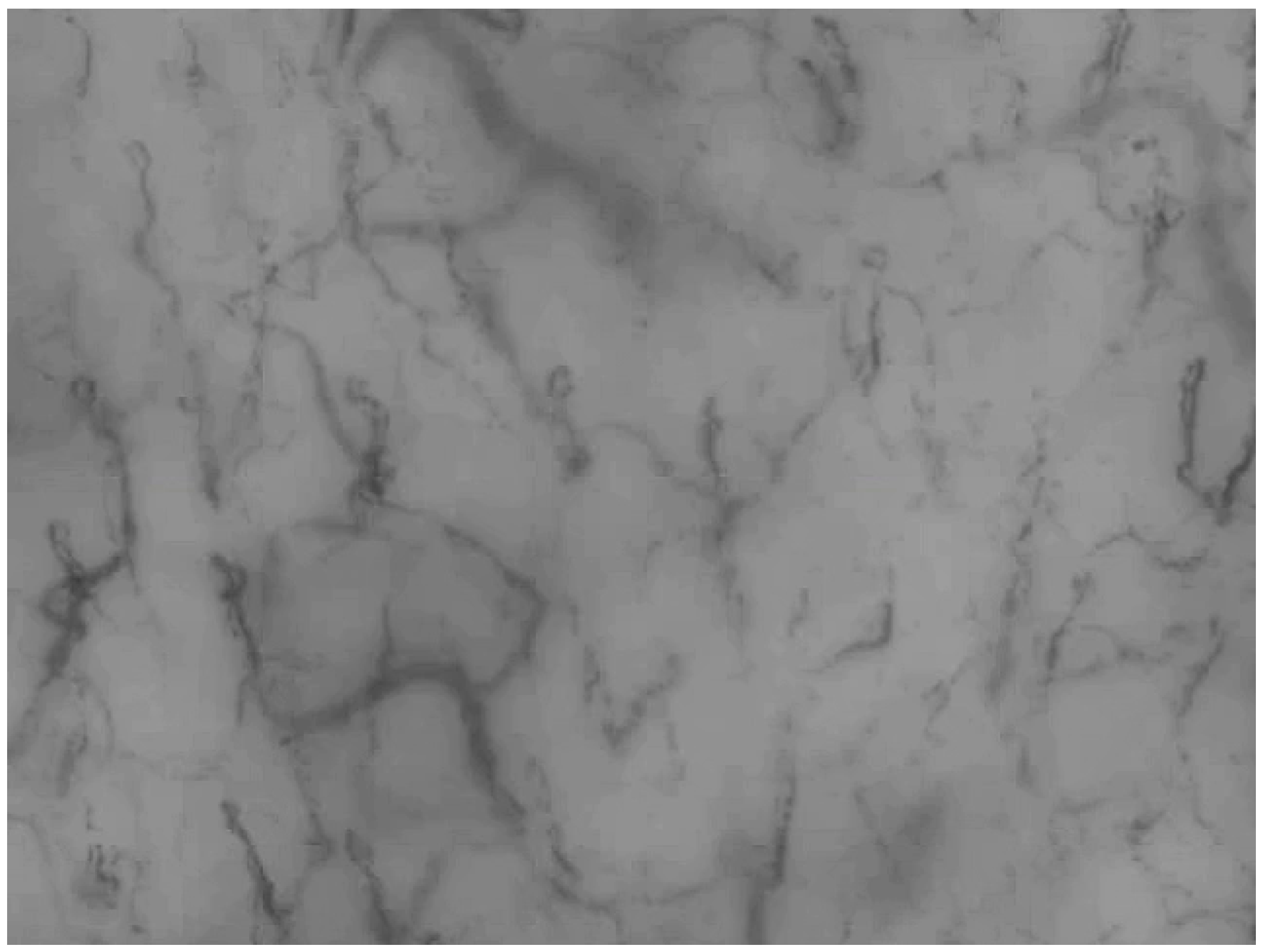 Sensors 25 05738 g003