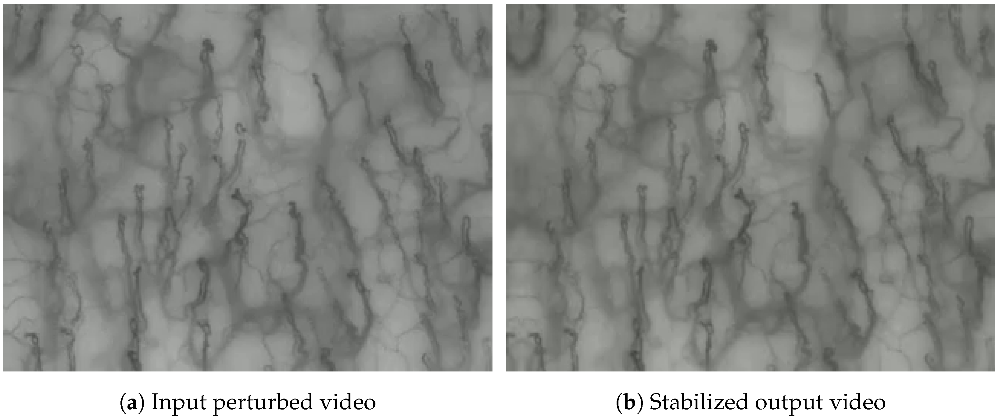 Sensors 25 05738 g006