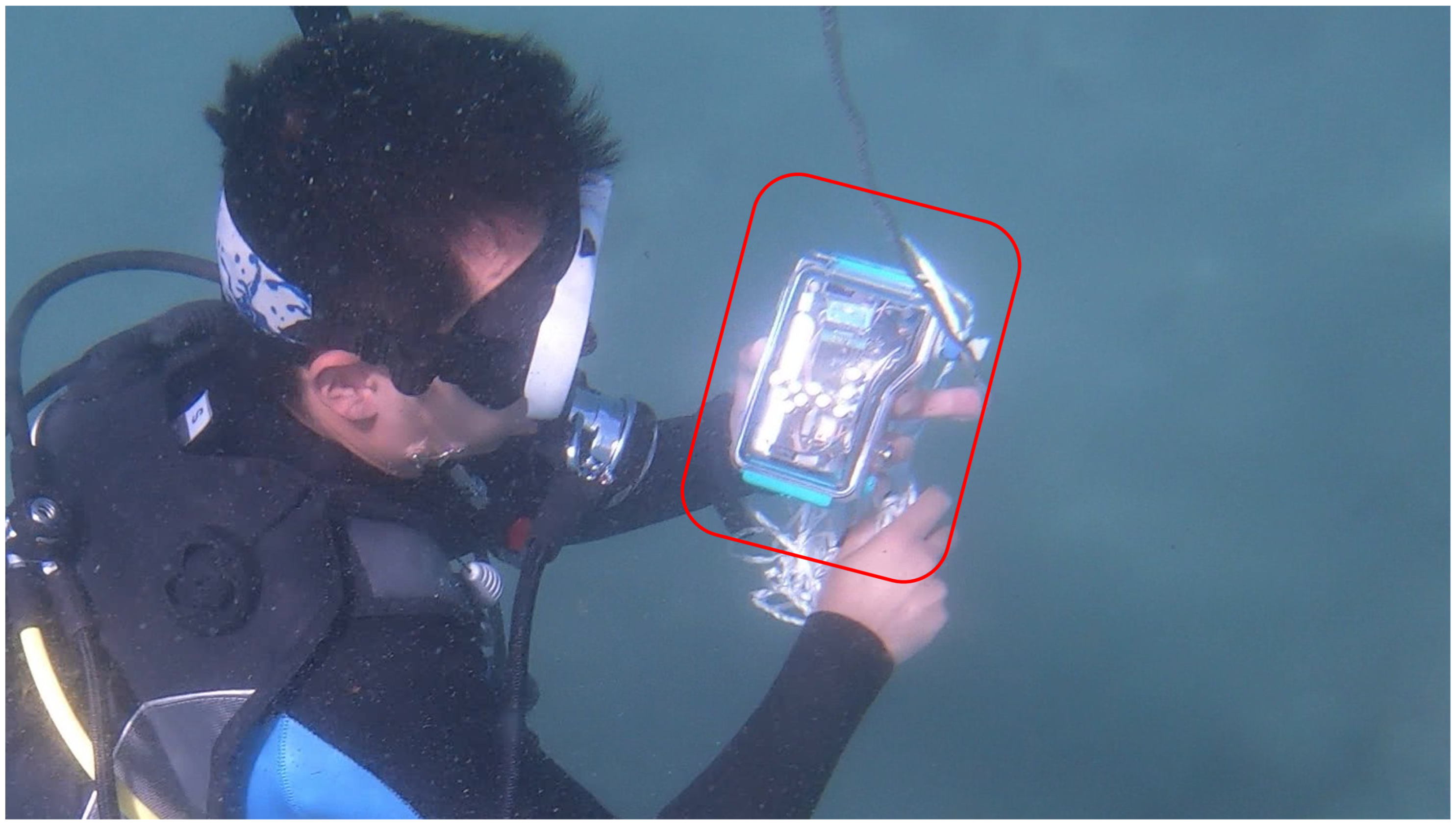 Sensors 25 05750 g003 Sensors 25 05750 g003