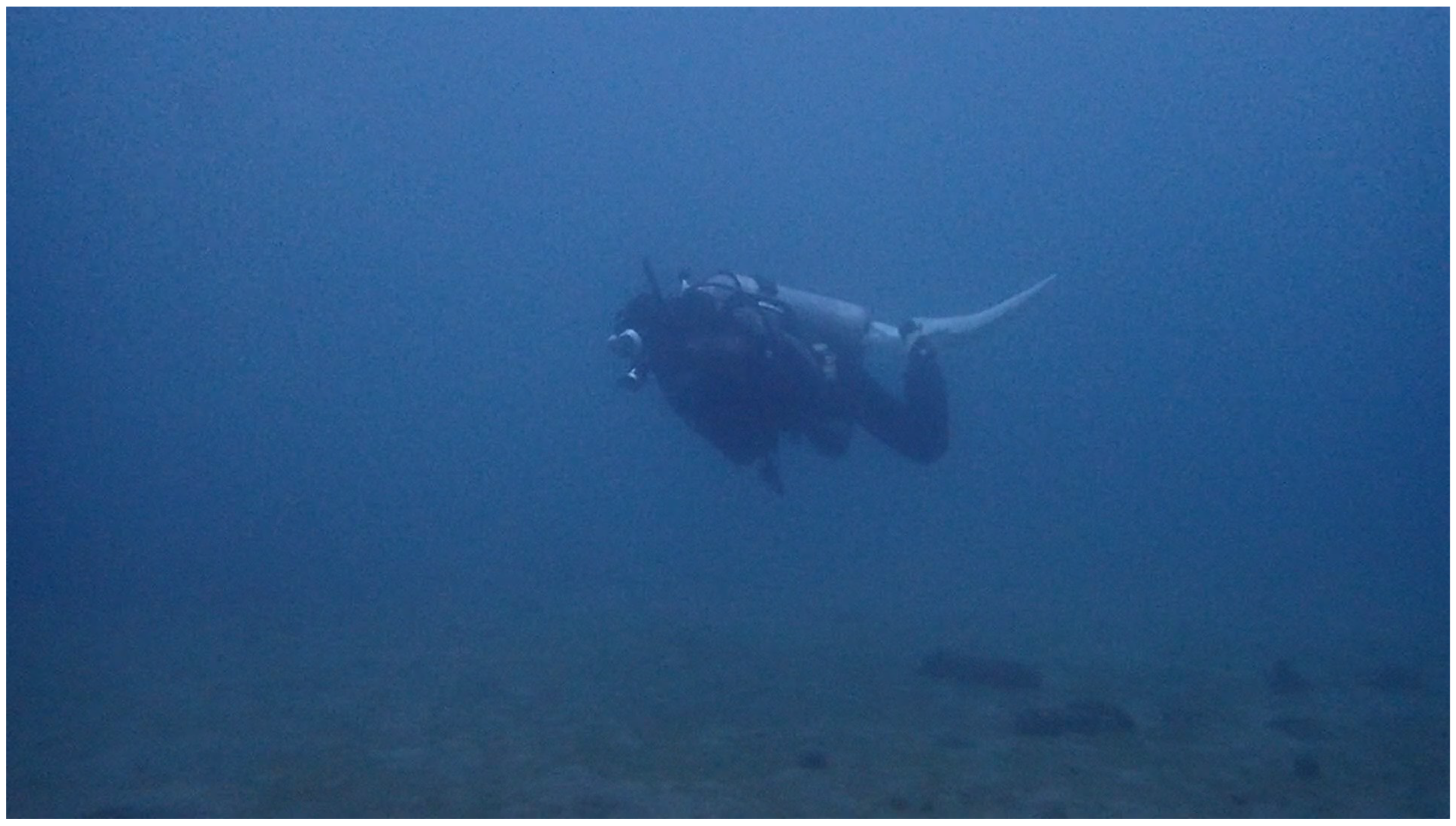 Sensors 25 05750 g006 Sensors 25 05750 g006