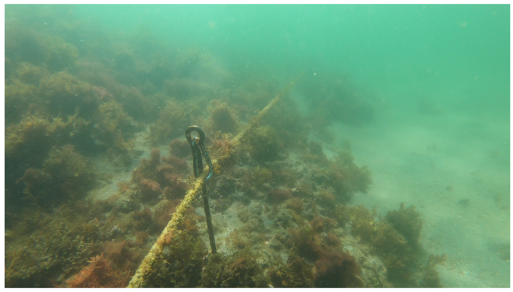 Sensors 25 05750 g014 Sensors 25 05750 g014