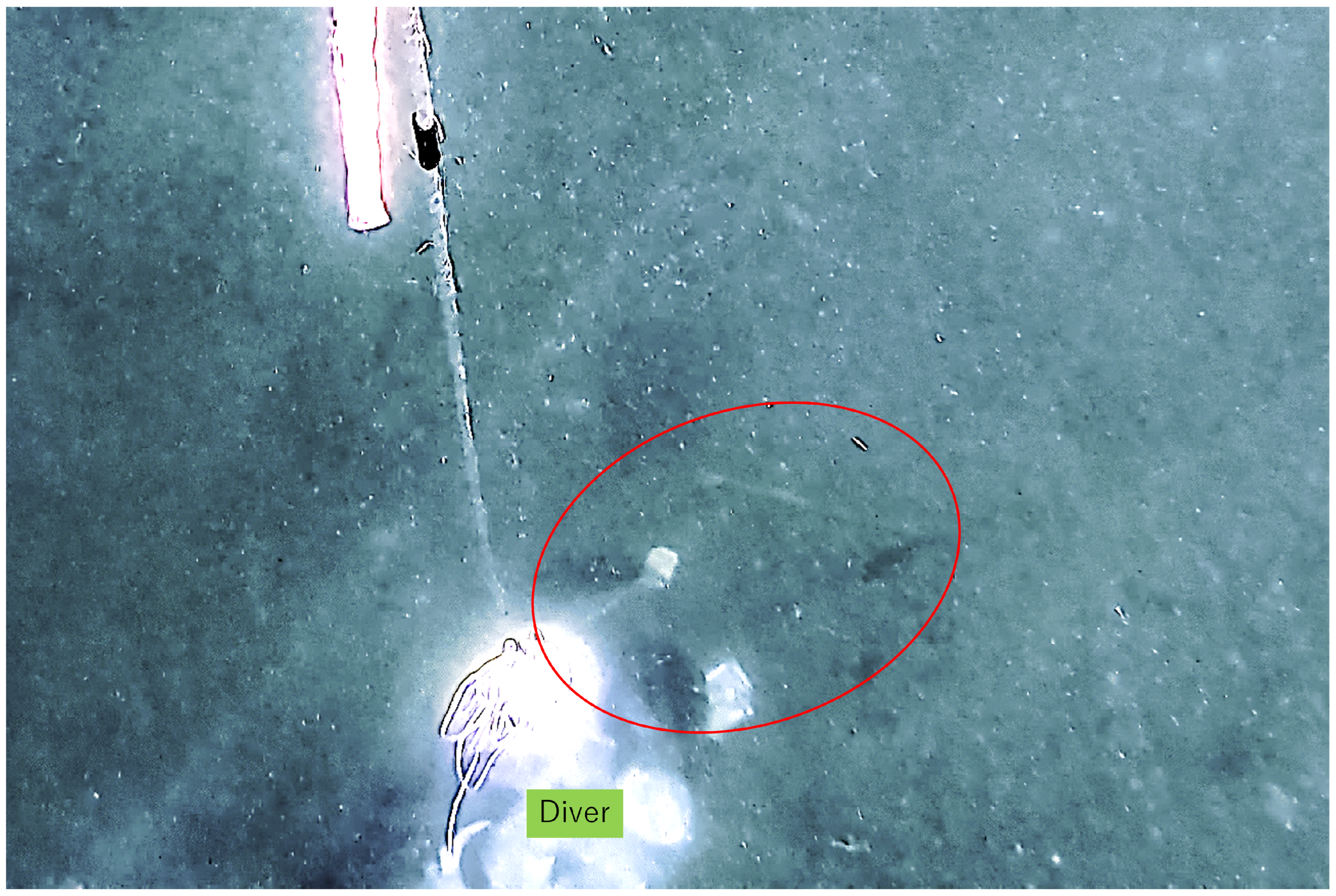 Sensors 25 05750 g017 Sensors 25 05750 g017