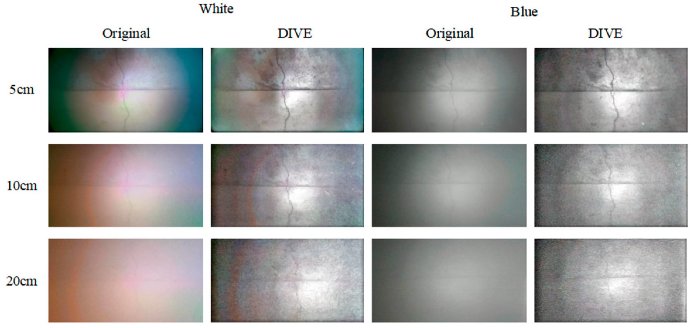 Sensors 25 05767 g006