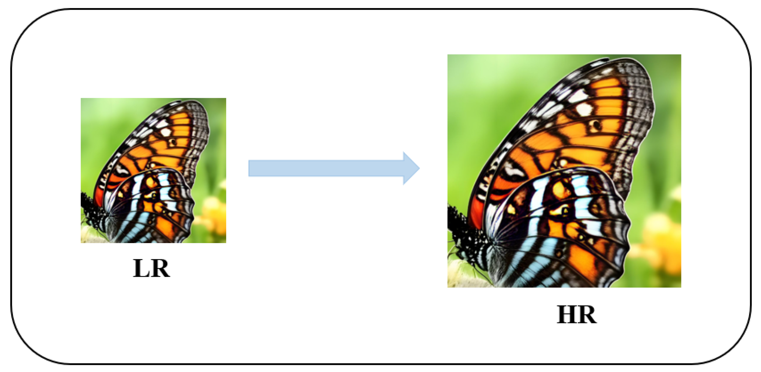 Sensors 25 05768 g001 Sensors 25 05768 g001