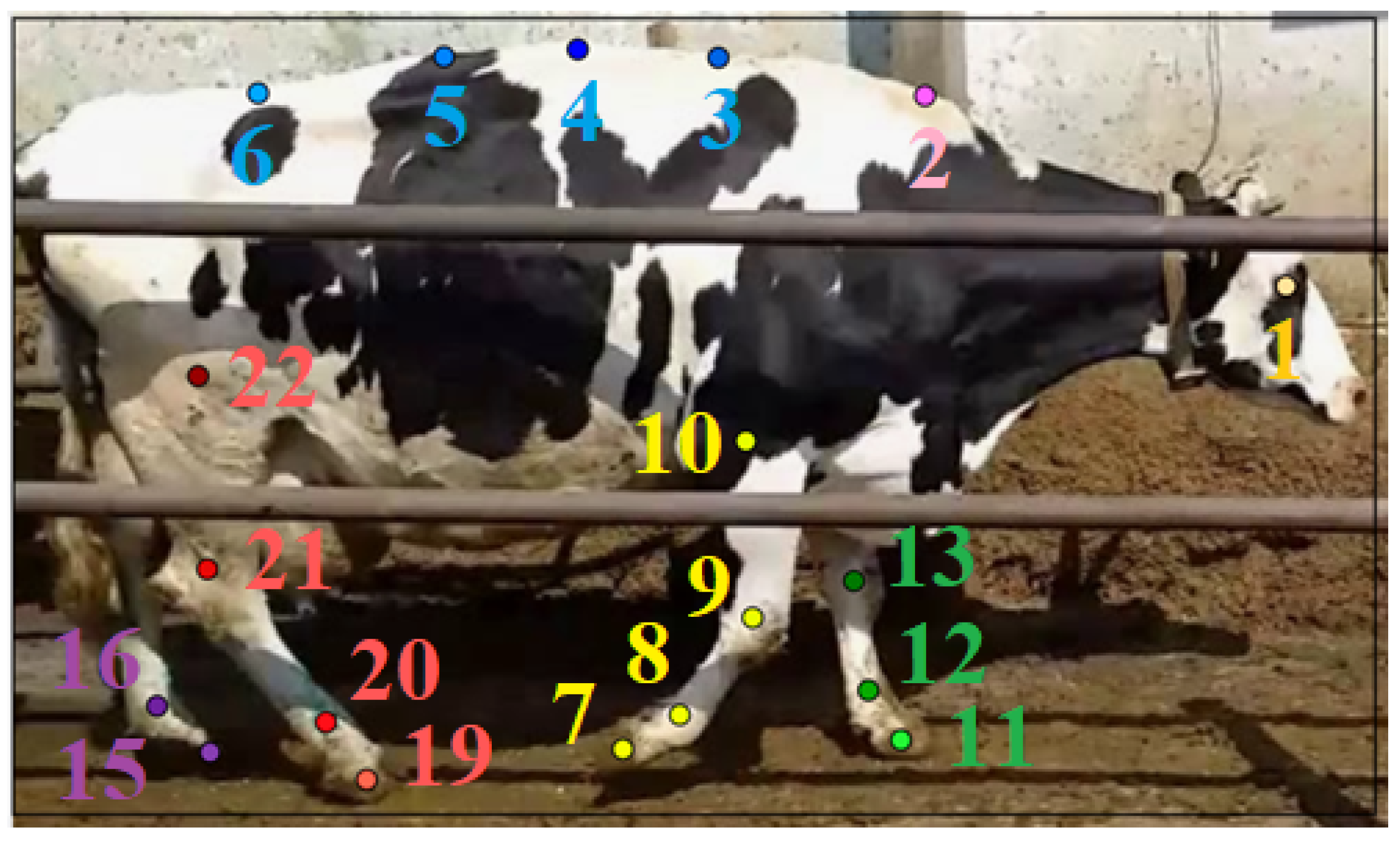 Sensors 25 05771 g002