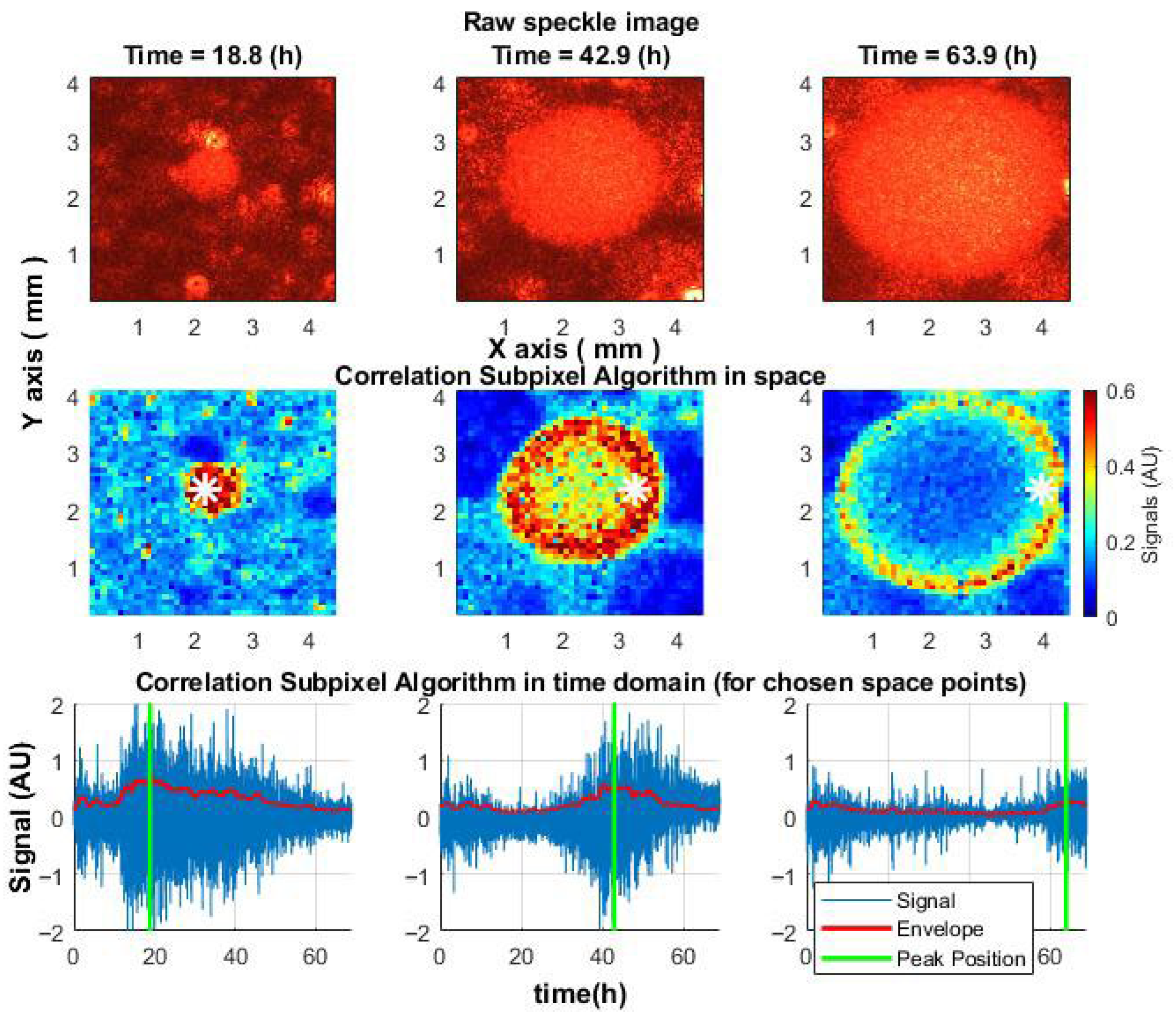 Sensors 25 05772 g009