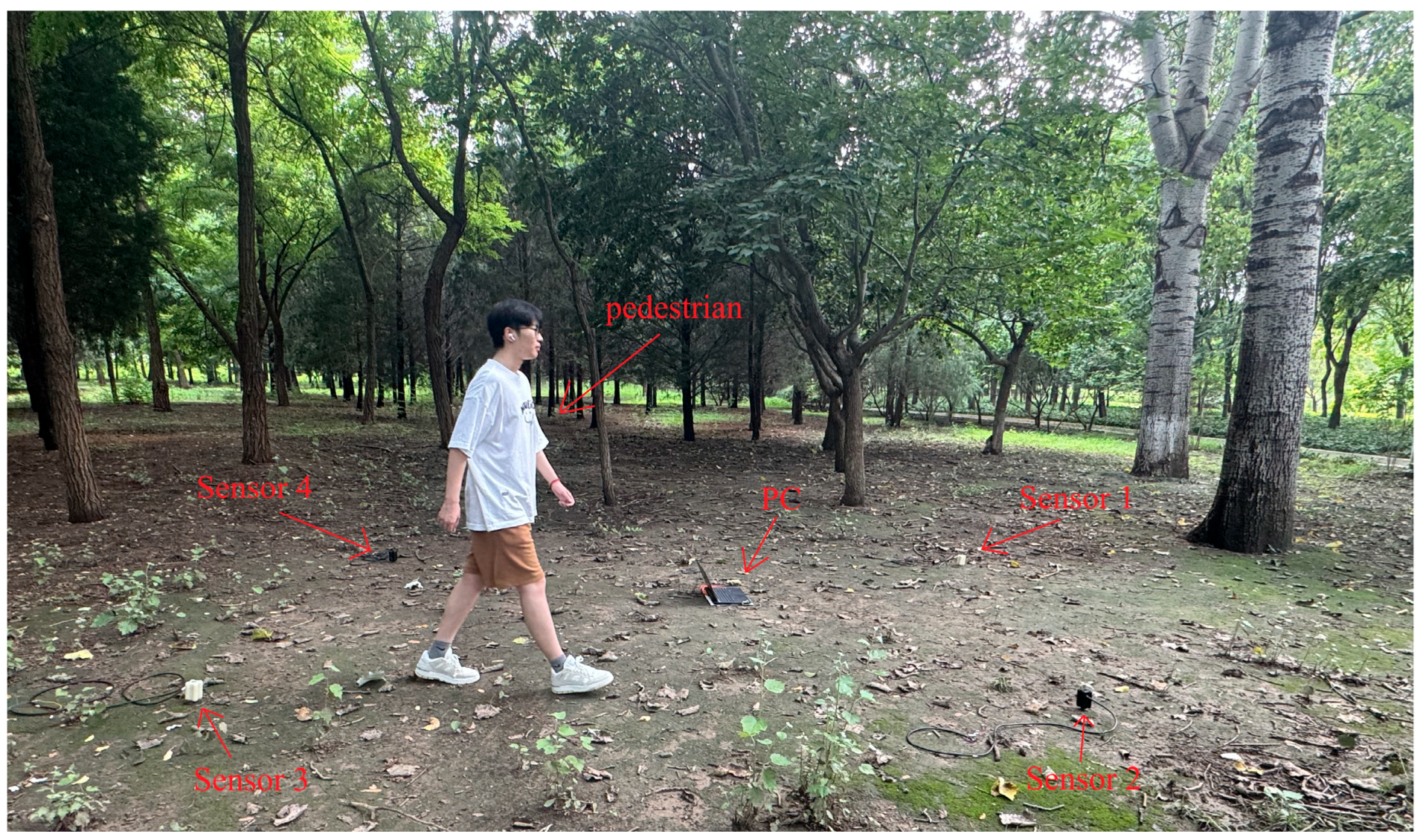 Sensors 25 05776 g007