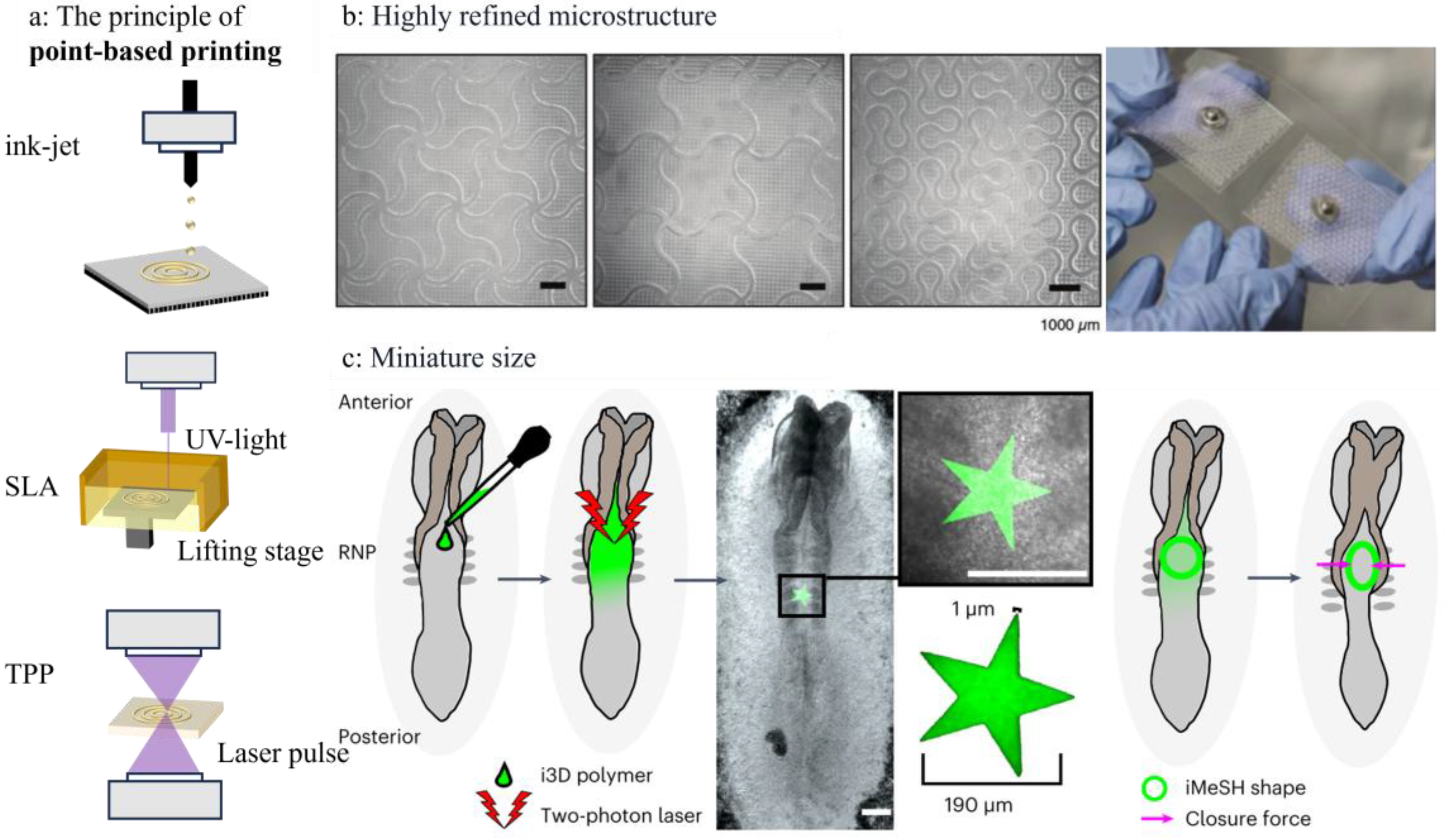 Sensors 25 05777 g002 Sensors 25 05777 g002