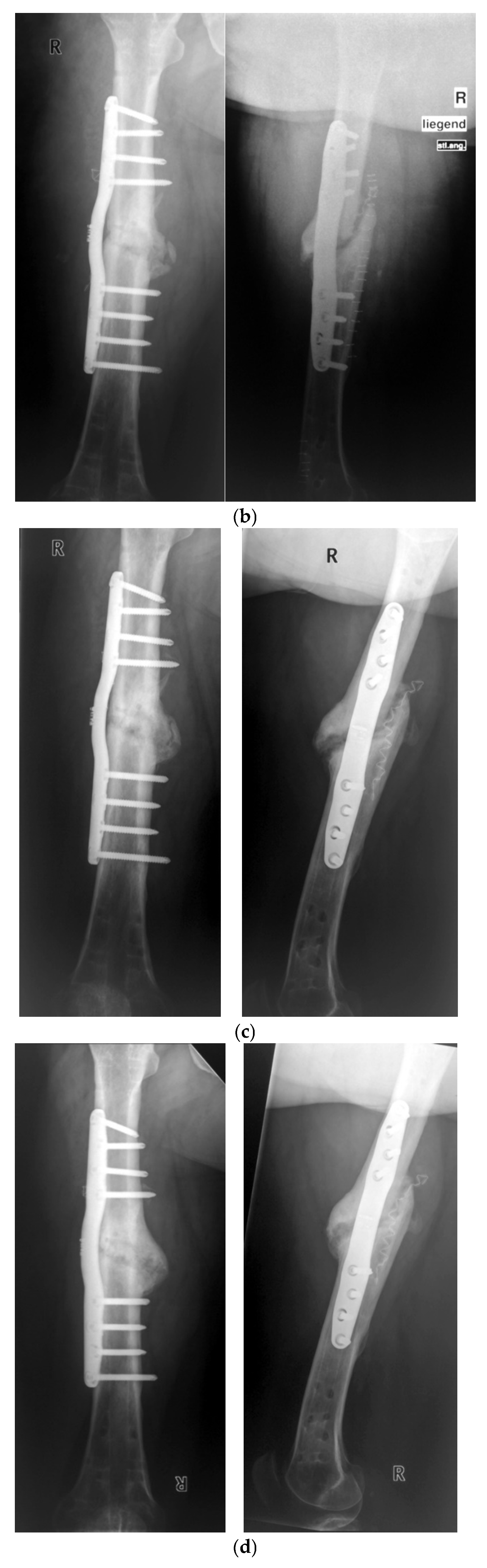 Sensors 25 05779 g006b Sensors 25 05779 g006b