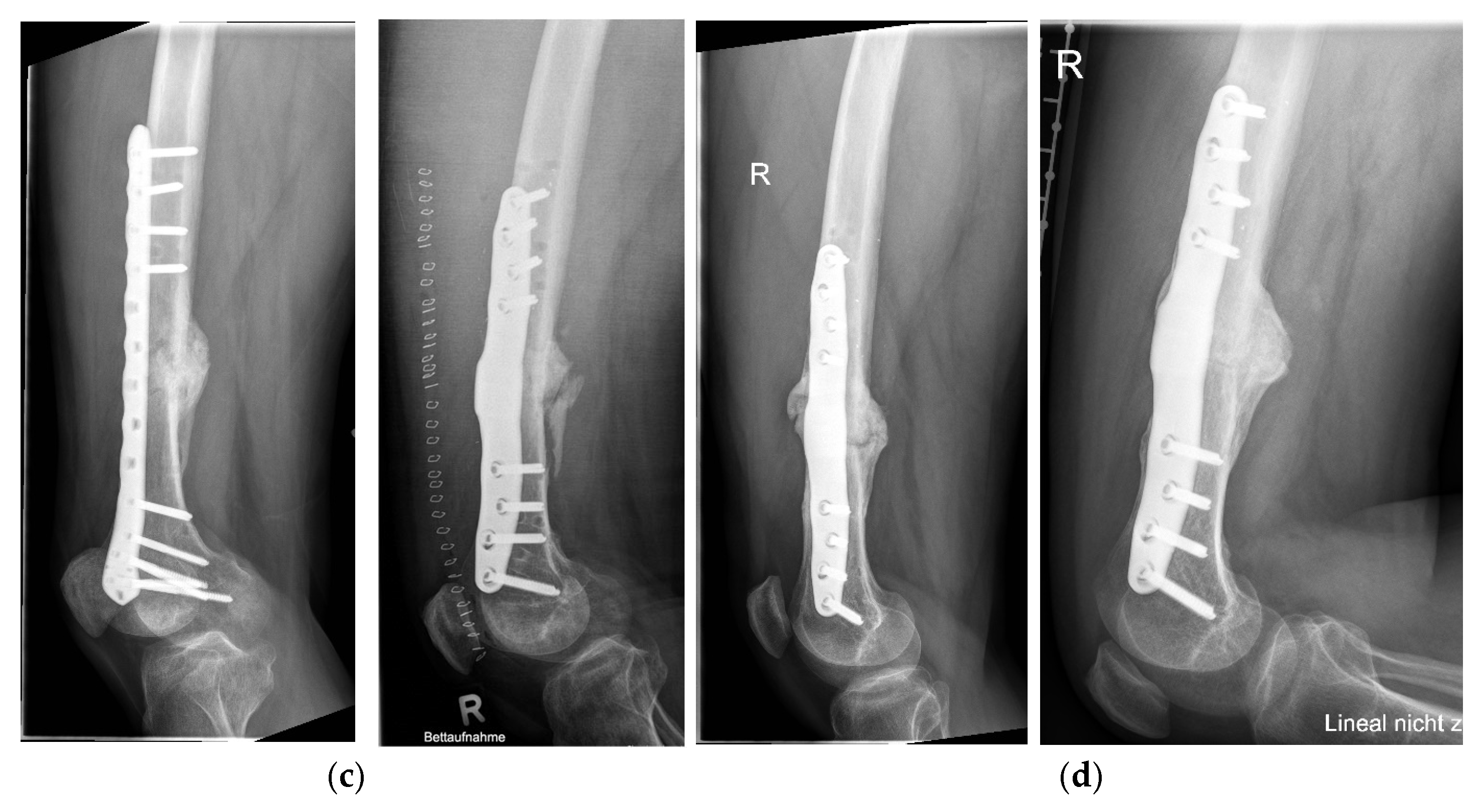 Sensors 25 05779 g009b Sensors 25 05779 g009b