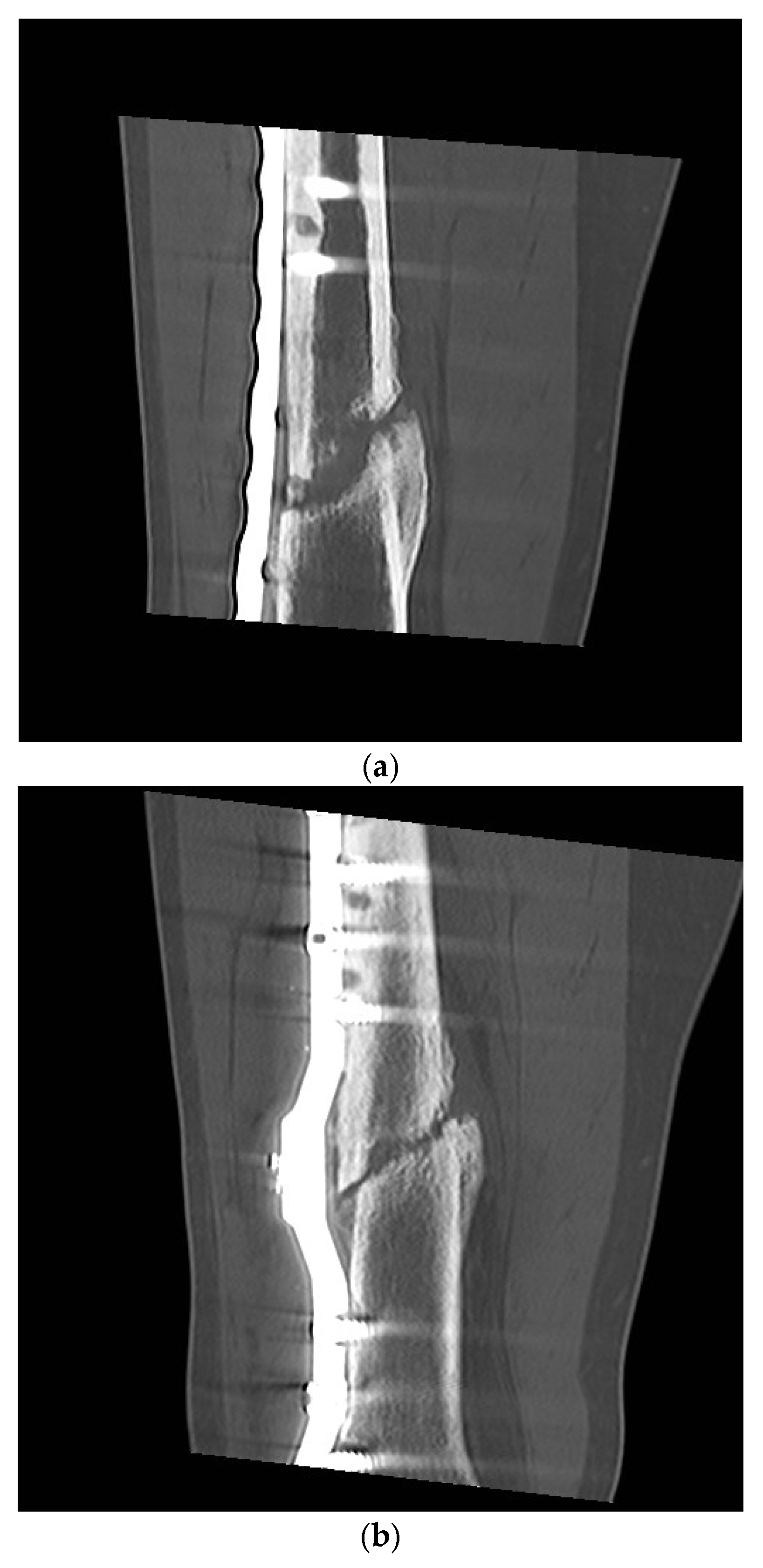 Sensors 25 05779 g010a Sensors 25 05779 g010a