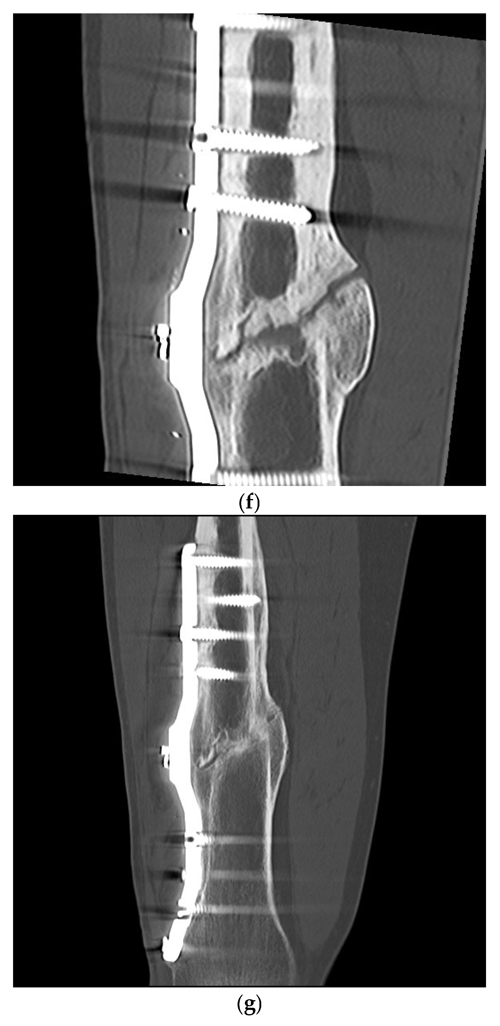 Sensors 25 05779 g010c Sensors 25 05779 g010c