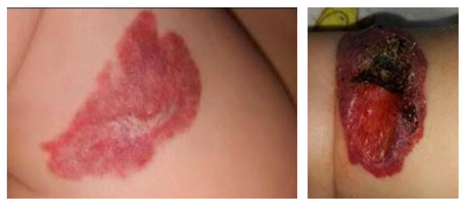 Sensors 25 05781 g001