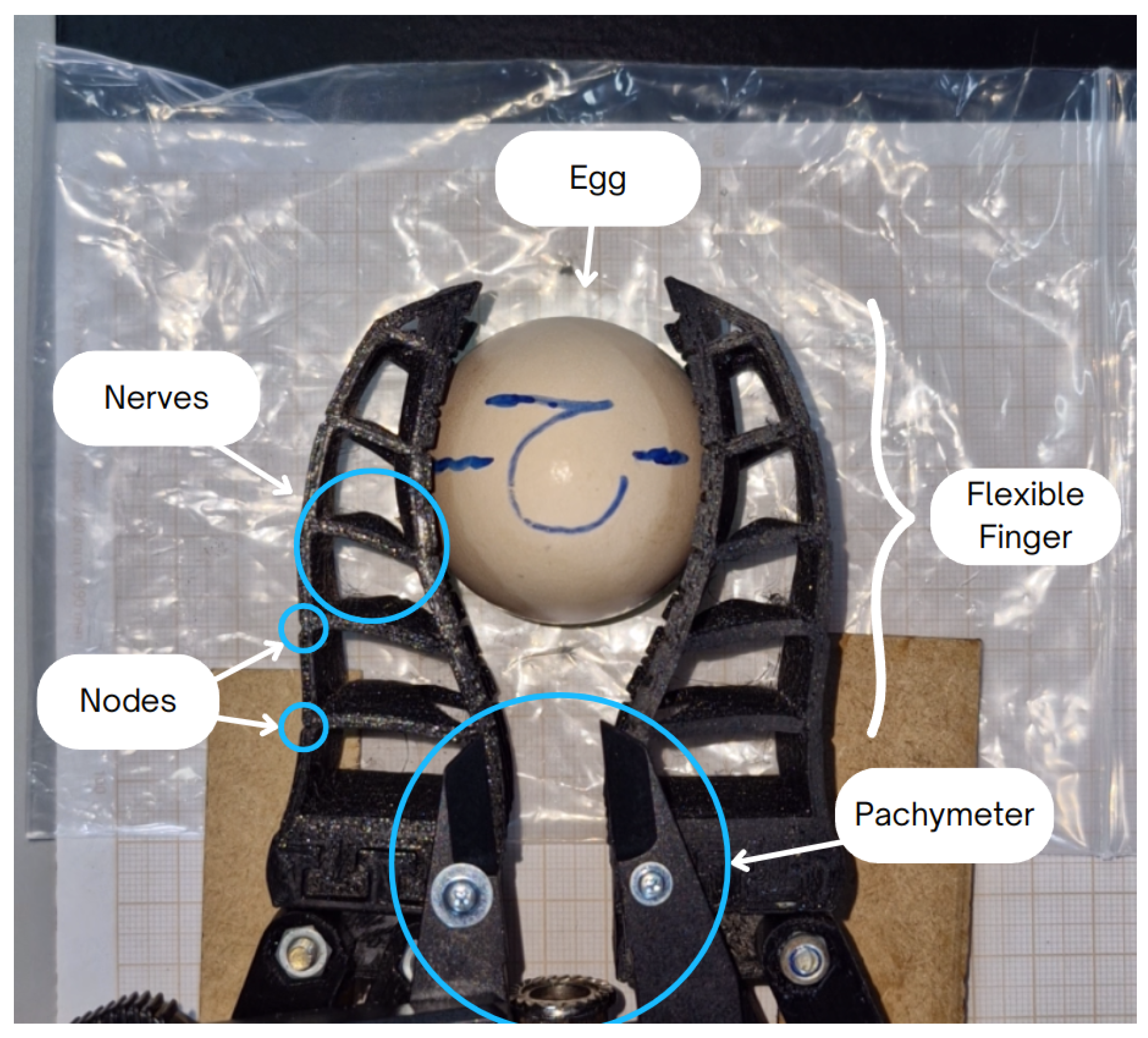 Sensors 25 05782 g008