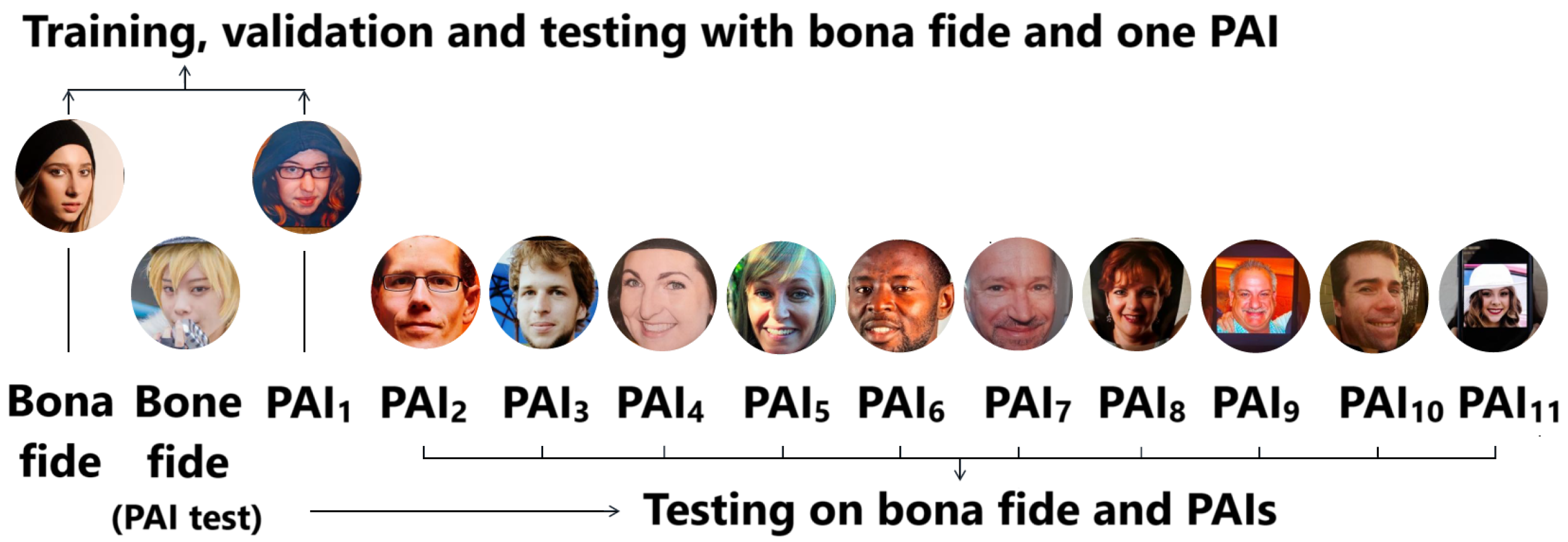 Sensors 25 05792 g003