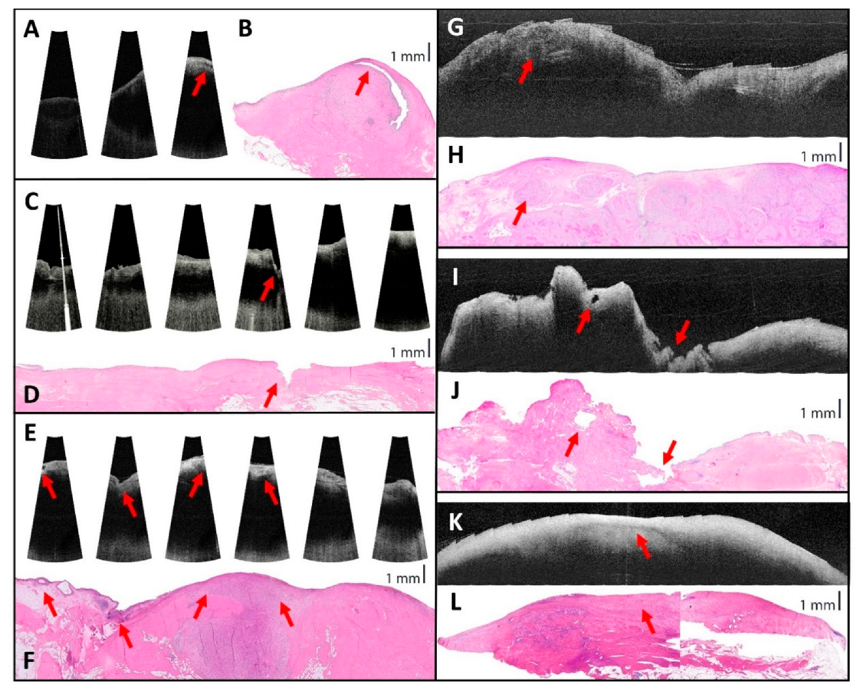 Sensors 25 05794 g007 Sensors 25 05794 g007