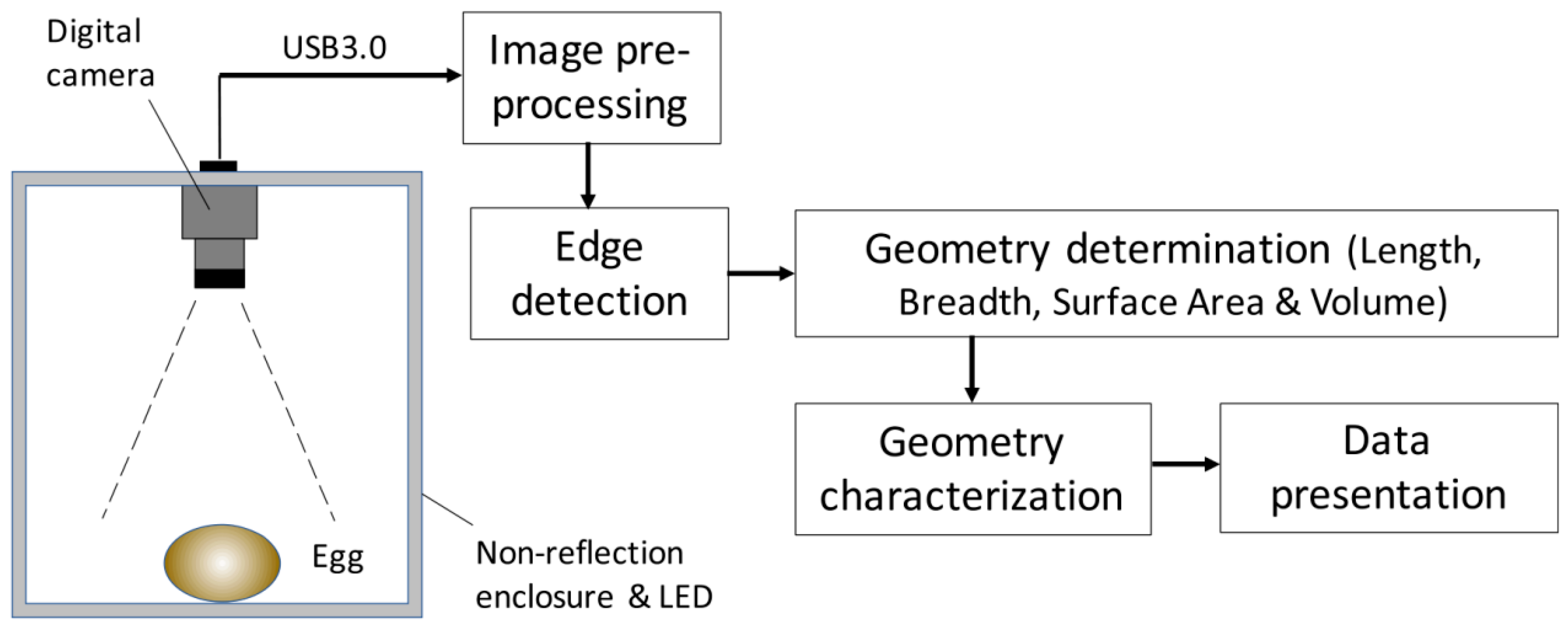 Sensors 25 05796 g005 Sensors 25 05796 g005