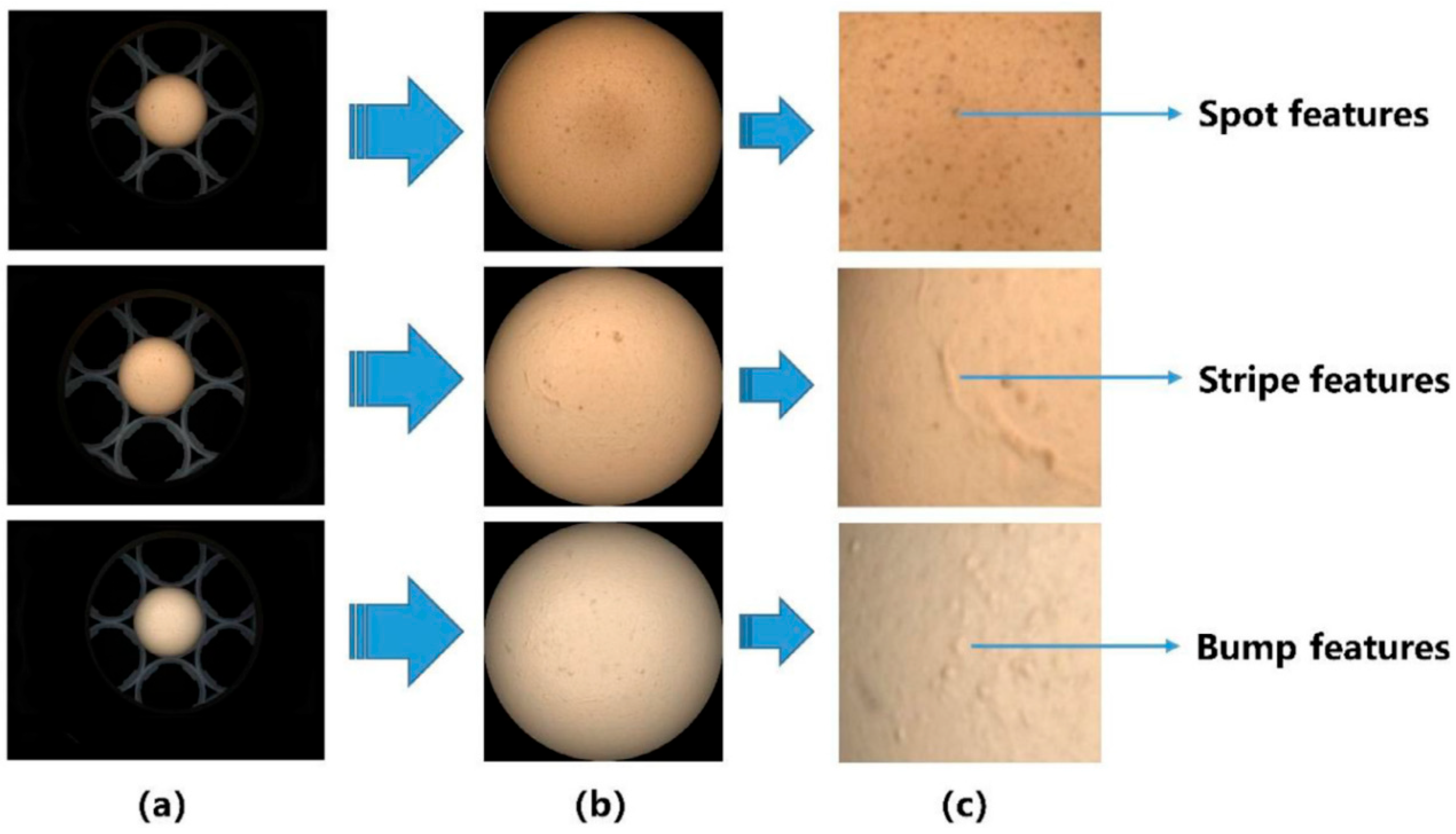 Sensors 25 05796 g006 Sensors 25 05796 g006