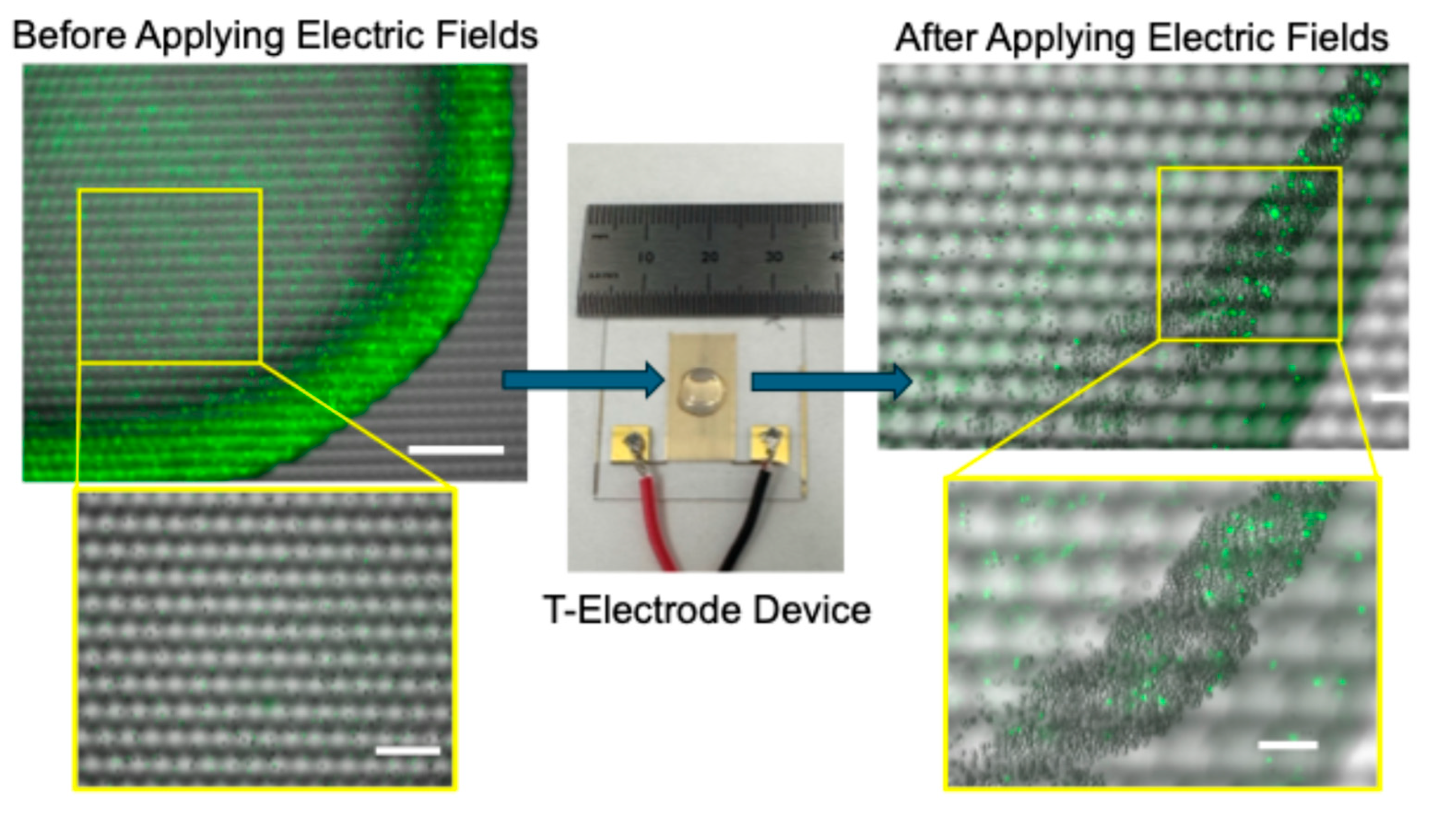 Sensors 25 05816 g001