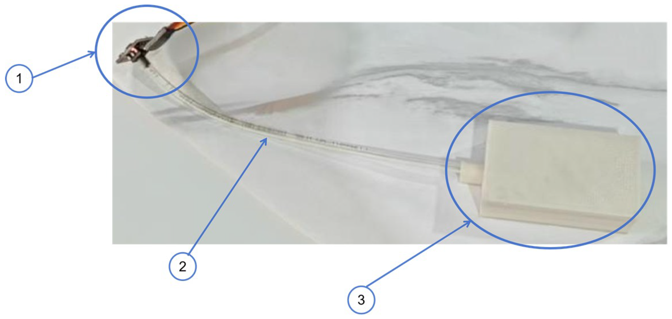 Sensors 25 05823 g001