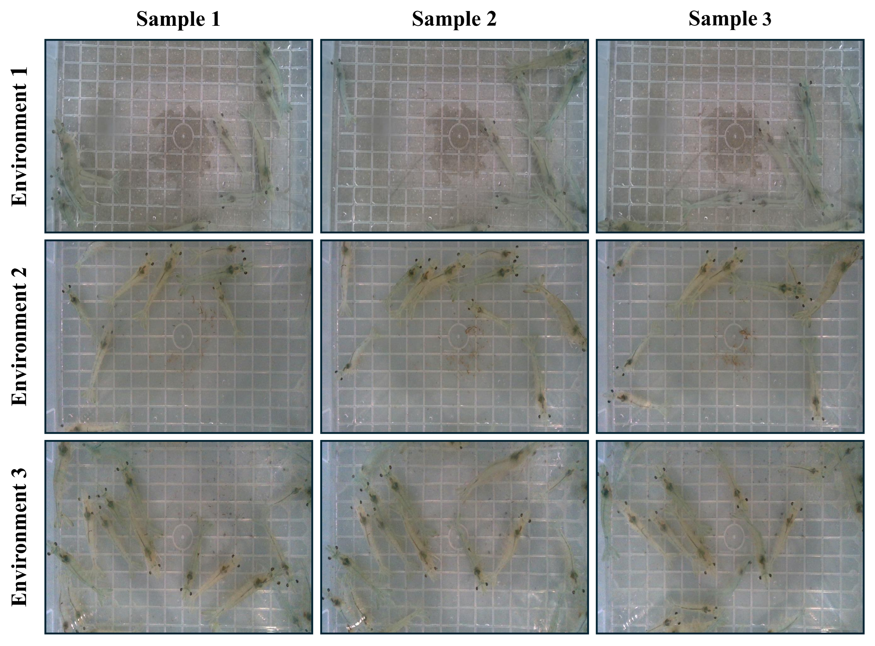 Sensors 25 05830 g001