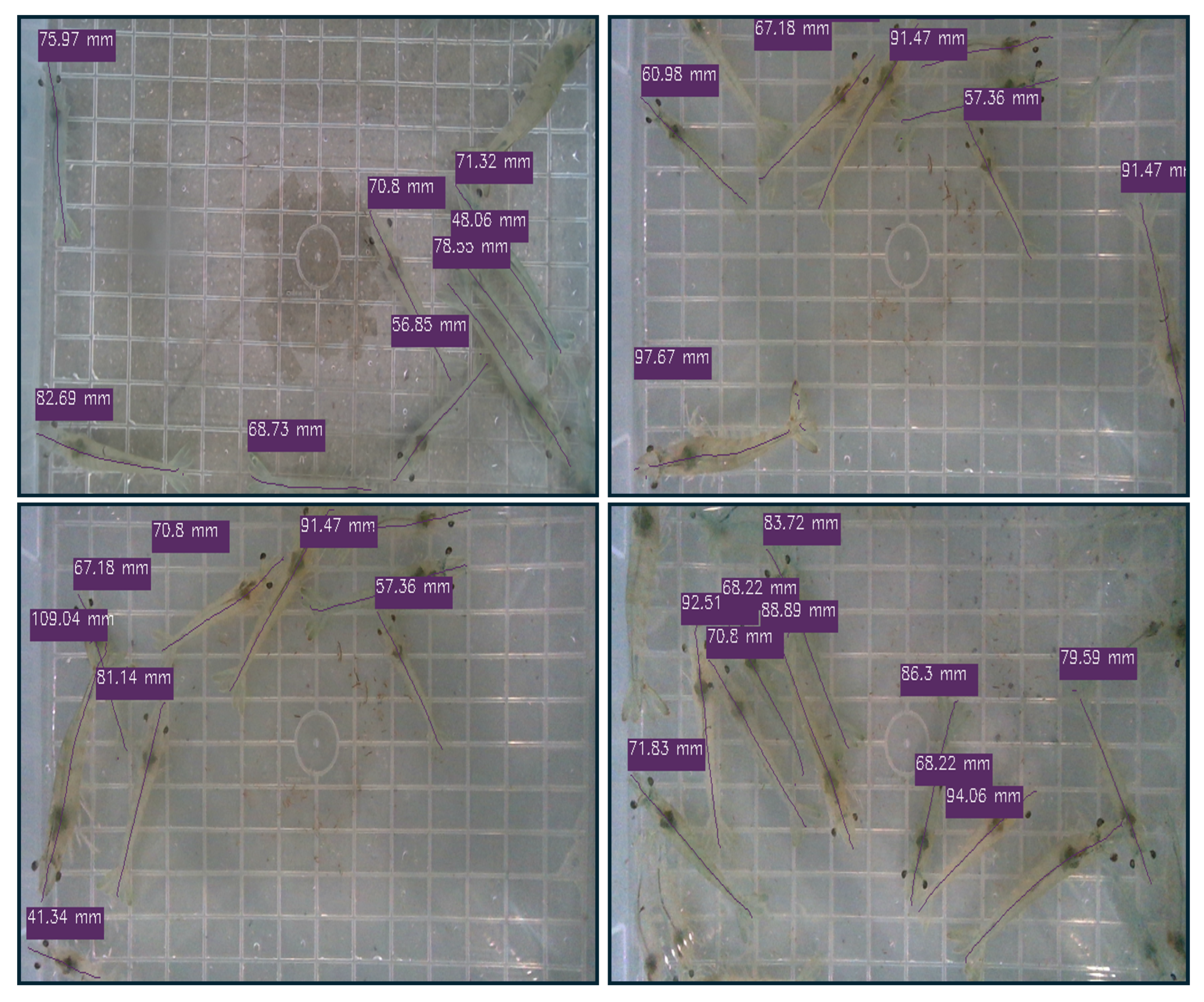 Sensors 25 05830 g007