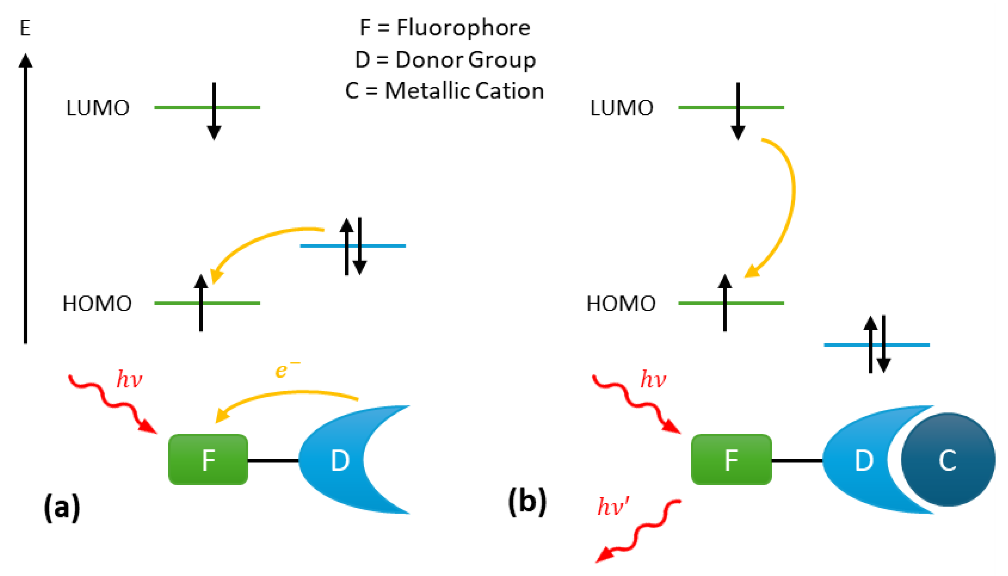 Sensors 25 05835 g001