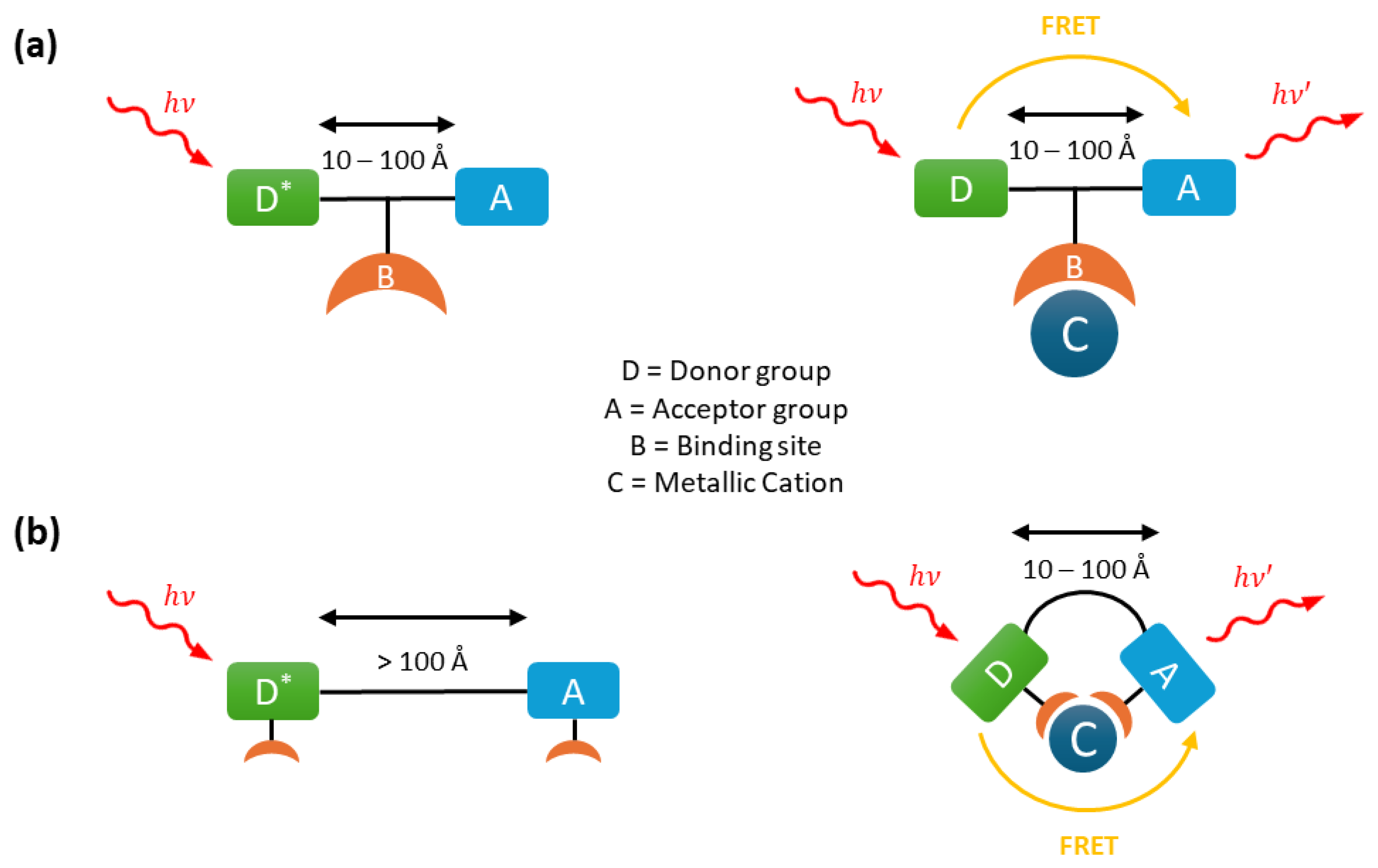 Sensors 25 05835 g003