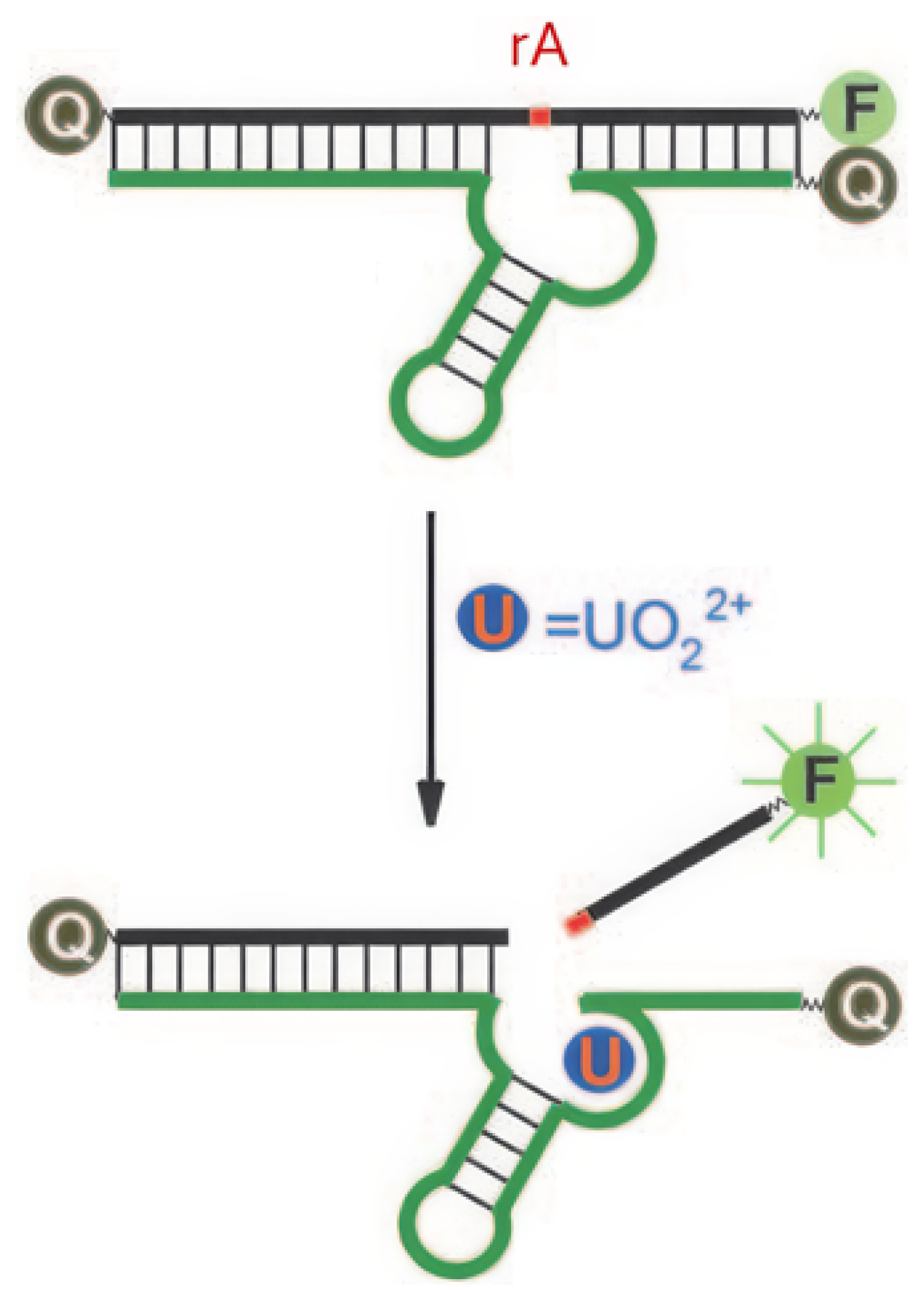 Sensors 25 05835 g006