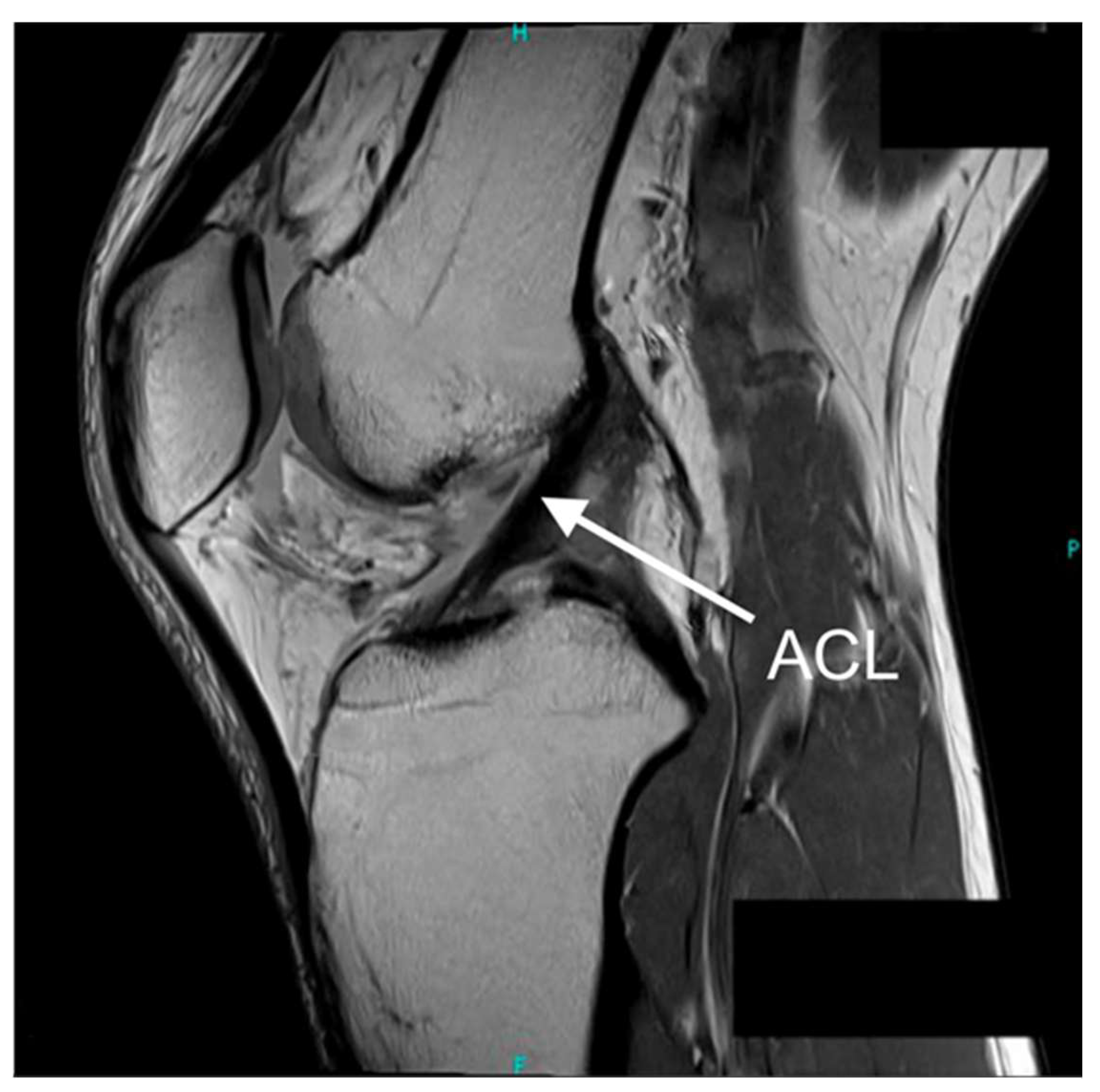Sensors 25 05837 g001