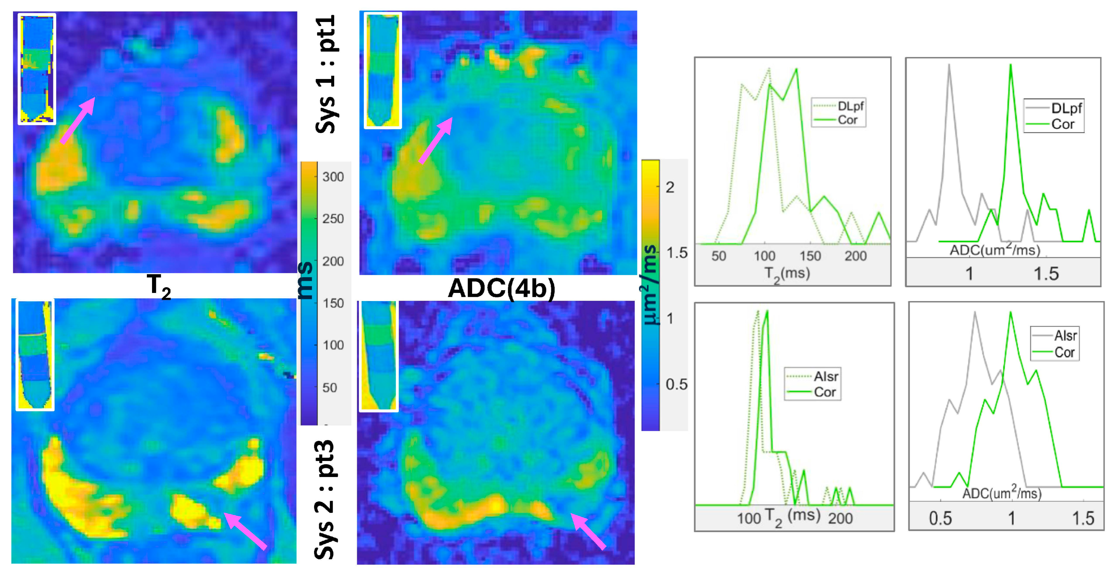 Sensors 25 05858 g004 Sensors 25 05858 g004