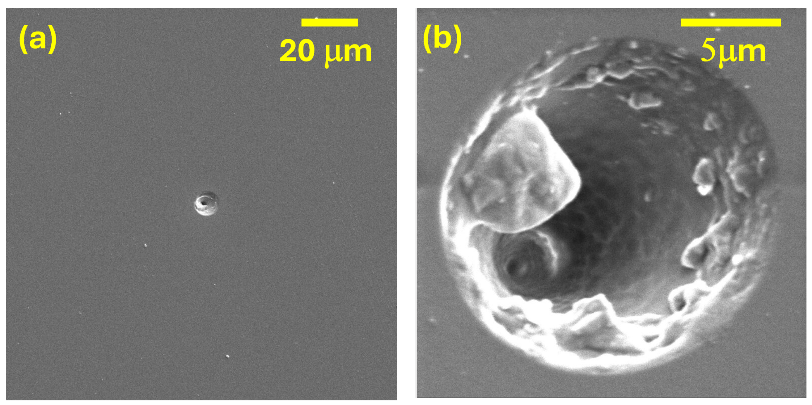 Sensors 25 05865 g005