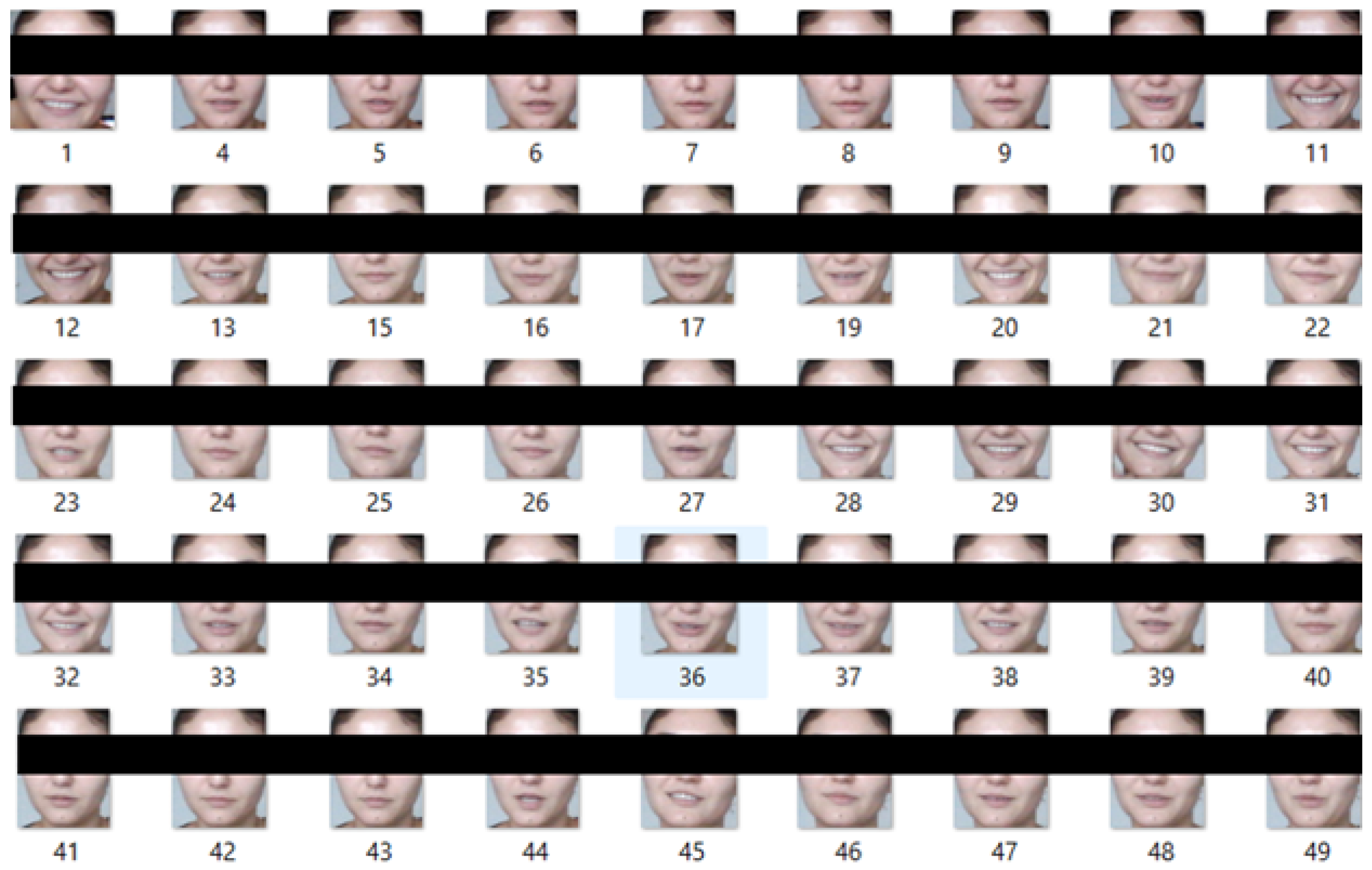 Sensors 25 05880 g001