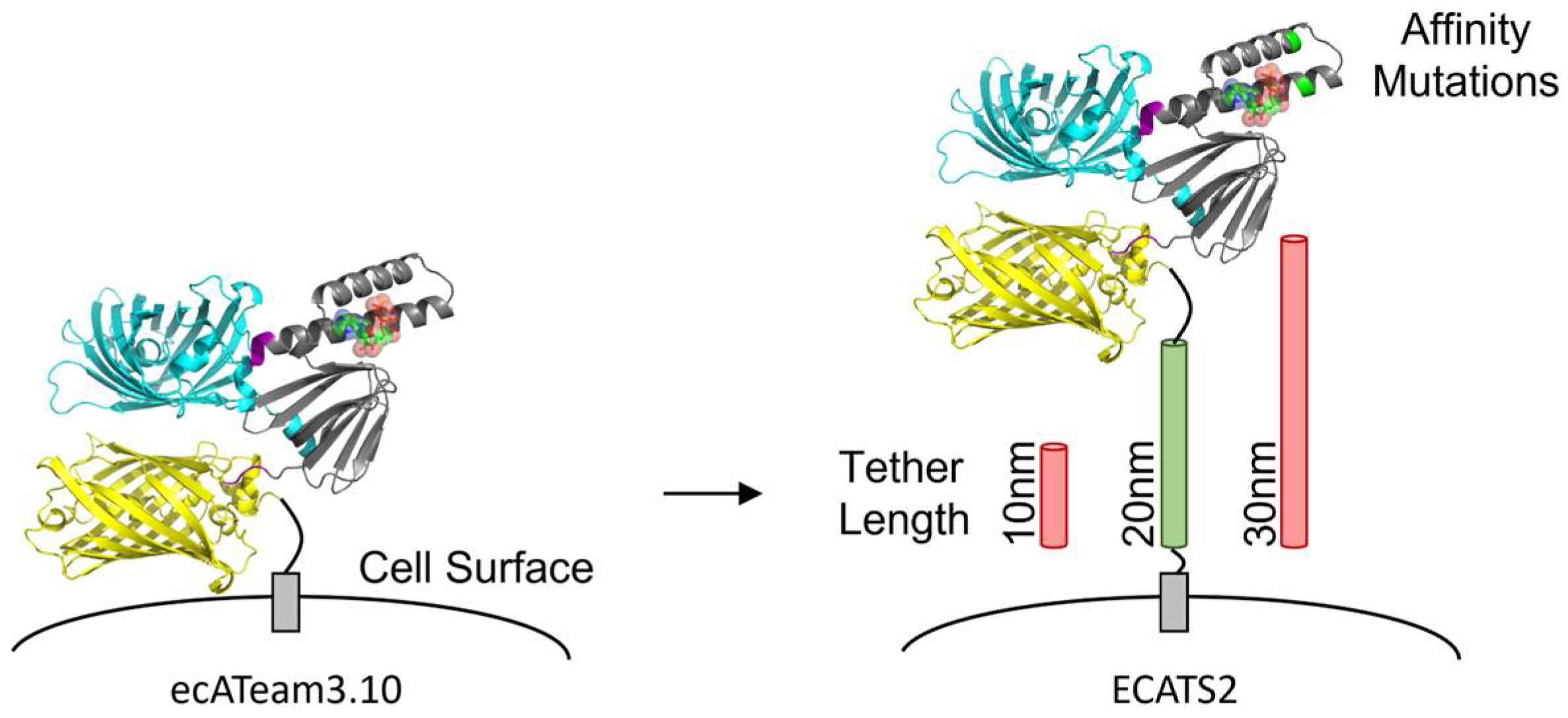 Sensors 25 05903 g001 Sensors 25 05903 g001