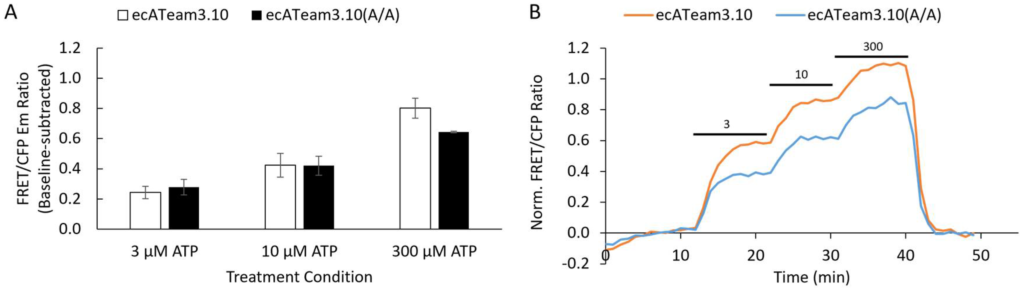 Sensors 25 05903 g002 Sensors 25 05903 g002