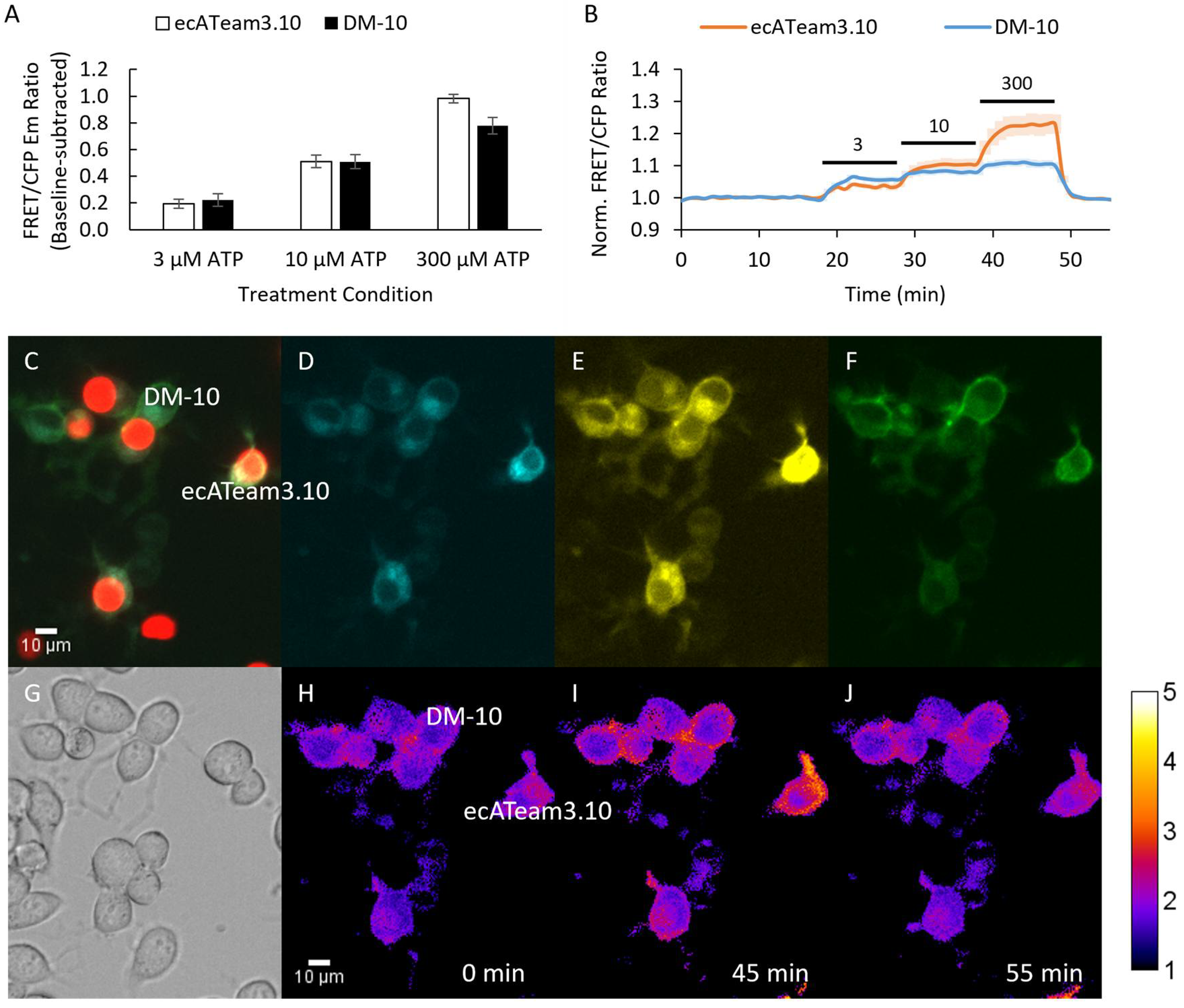 Sensors 25 05903 g003 Sensors 25 05903 g003