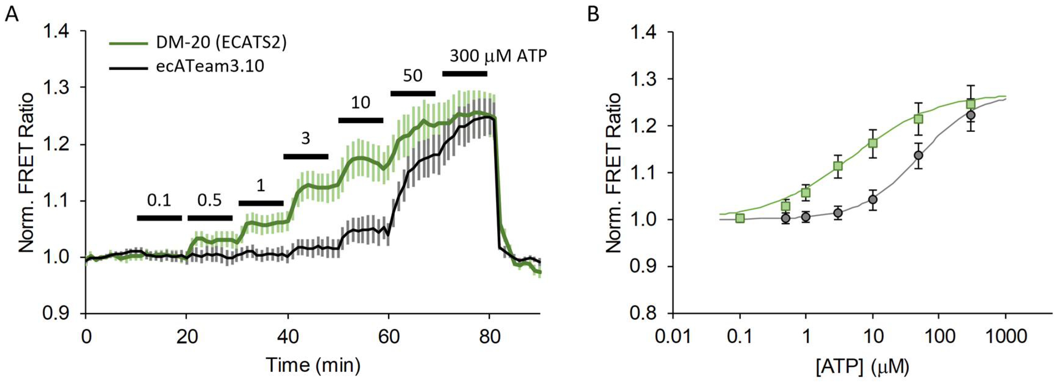 Sensors 25 05903 g005 Sensors 25 05903 g005