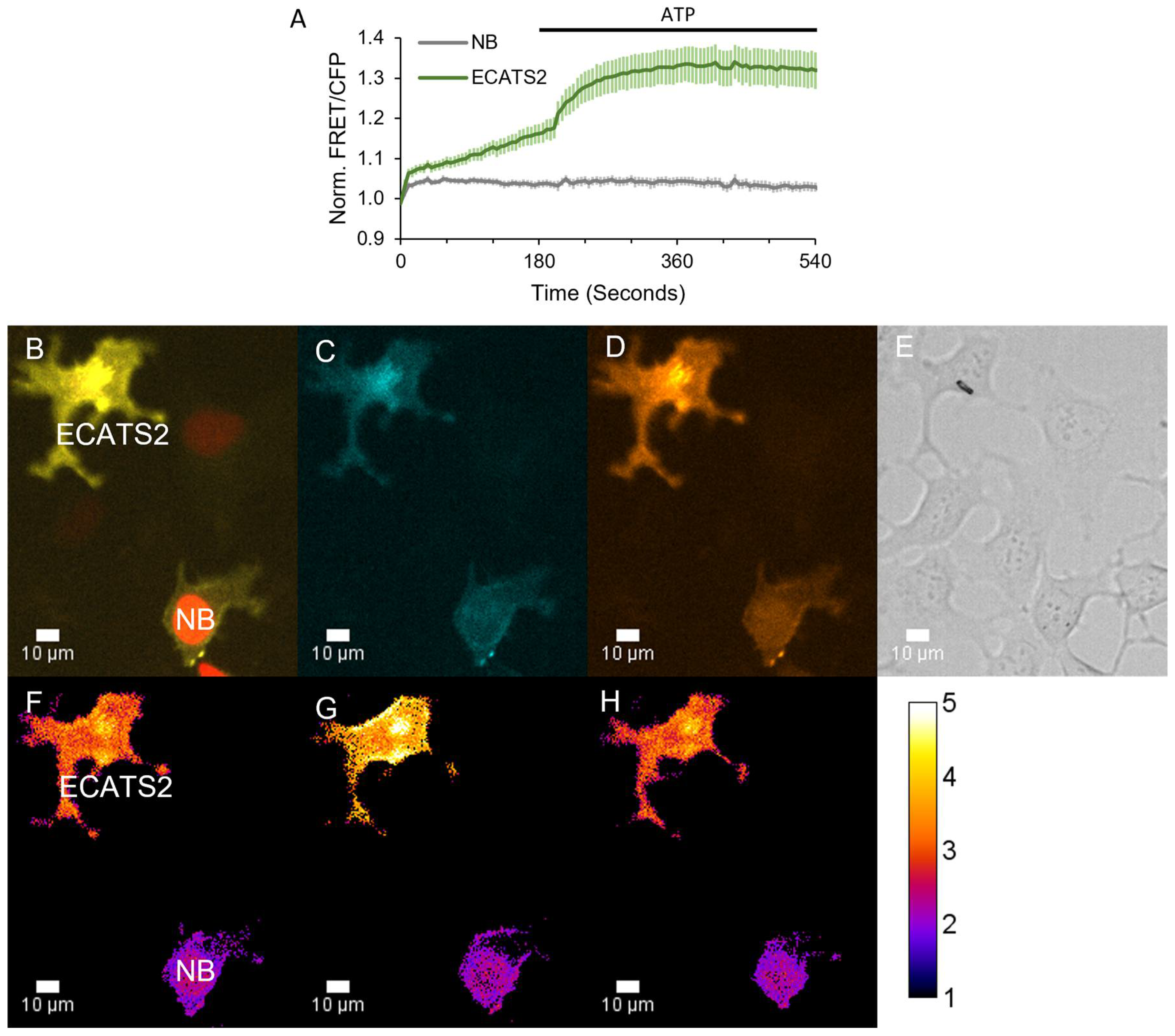 Sensors 25 05903 g006 Sensors 25 05903 g006