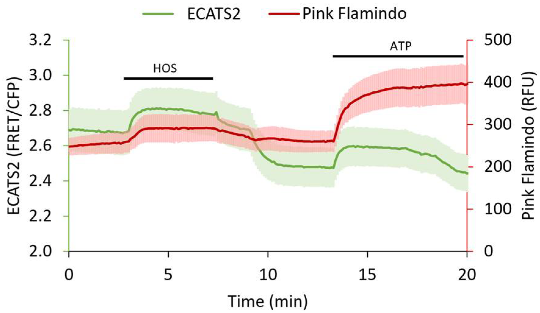 Sensors 25 05903 g007 Sensors 25 05903 g007