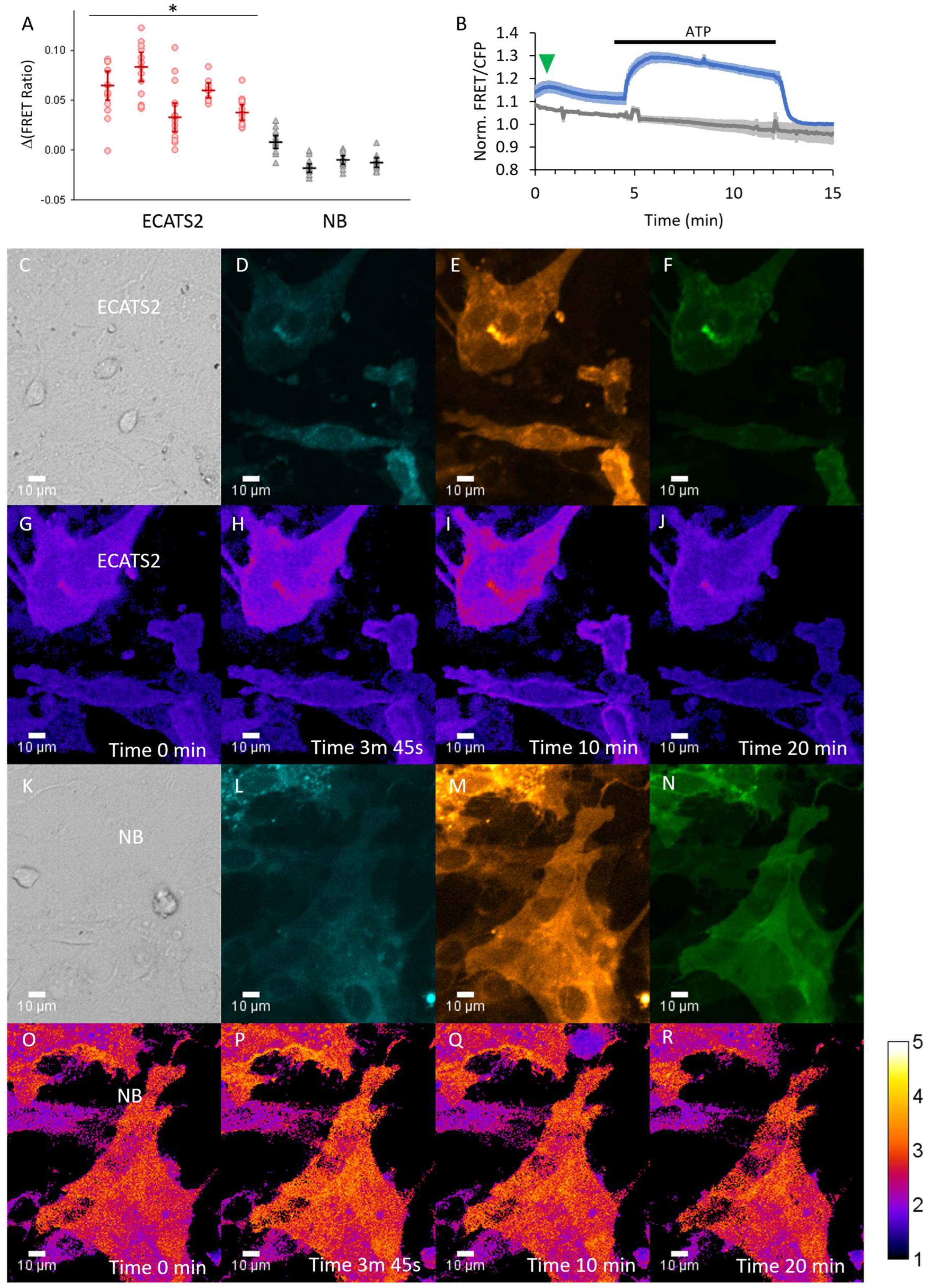 Sensors 25 05903 g008 Sensors 25 05903 g008