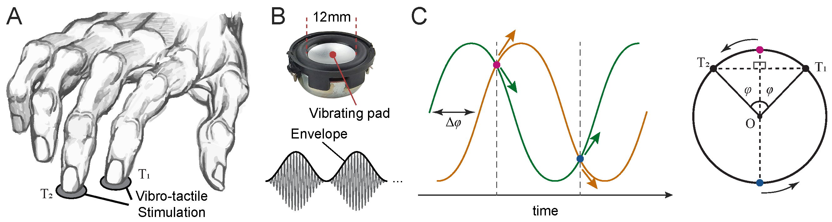 Sensors 25 05918 g002
